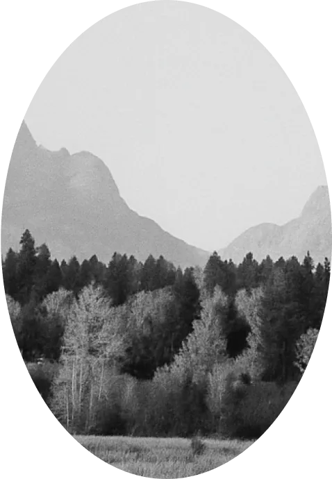 Black and white photo of a forest with tree-covered hills and mountains in the background, framed in an oval shape.