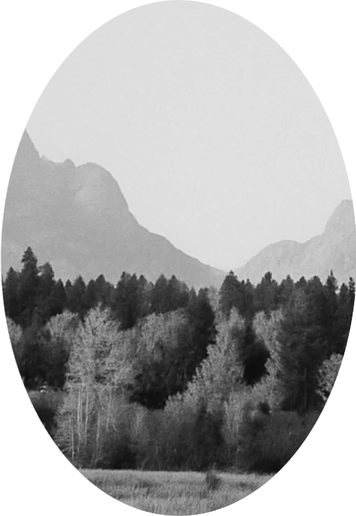 Light Tower Image