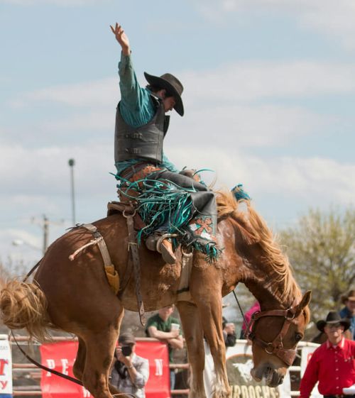 Jackson Rodeo Portrait Faraway Jackson Hole | Luxury Teton Village Hotel