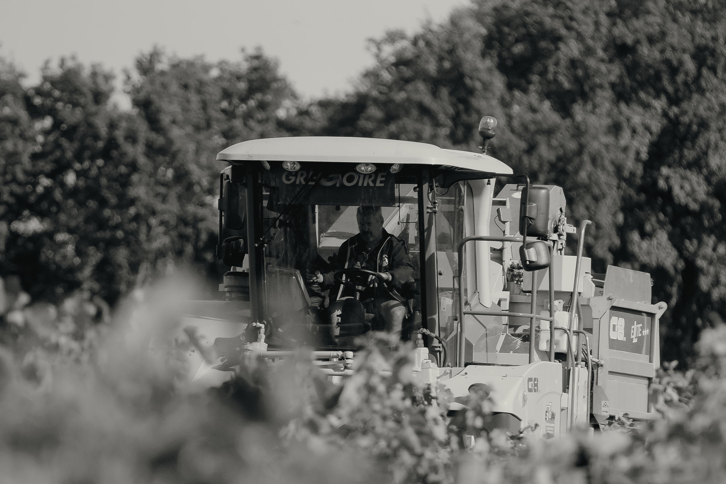 Triangle behind a mountain range made with structural grid like texture