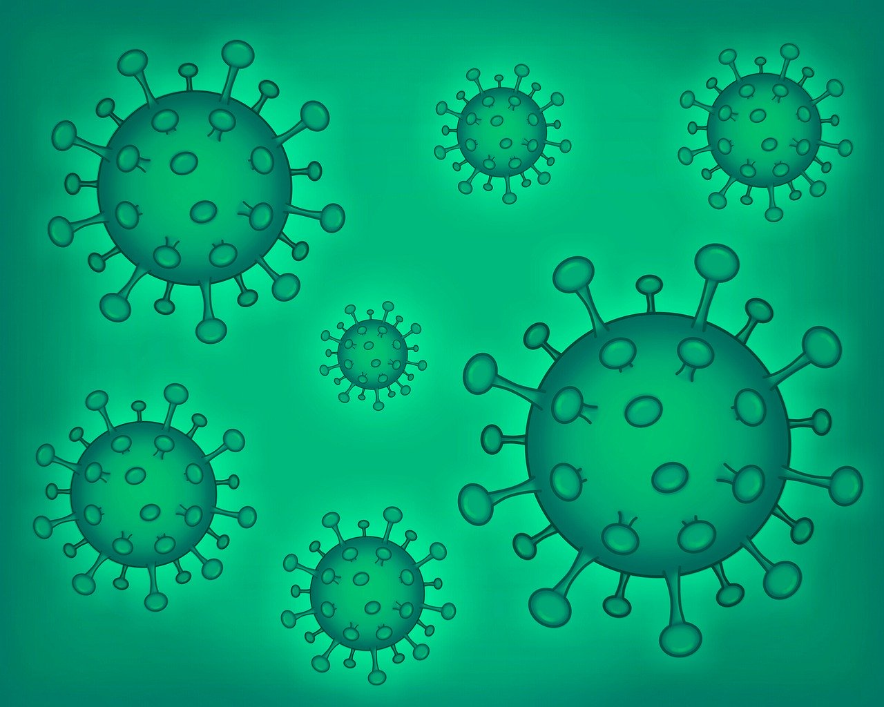 Coronavirus Covid  Virus