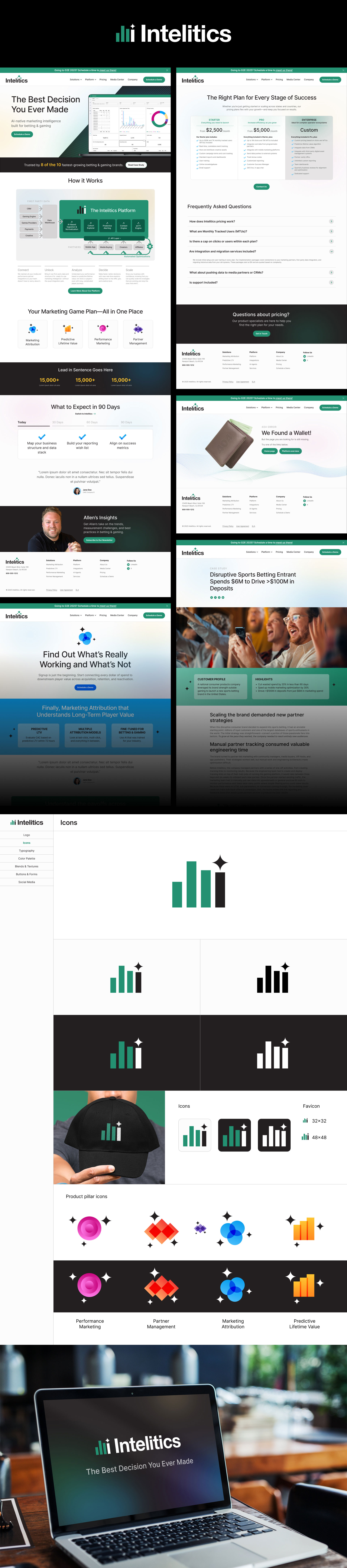 Intelitics website and identity design by Lisa Lopuck