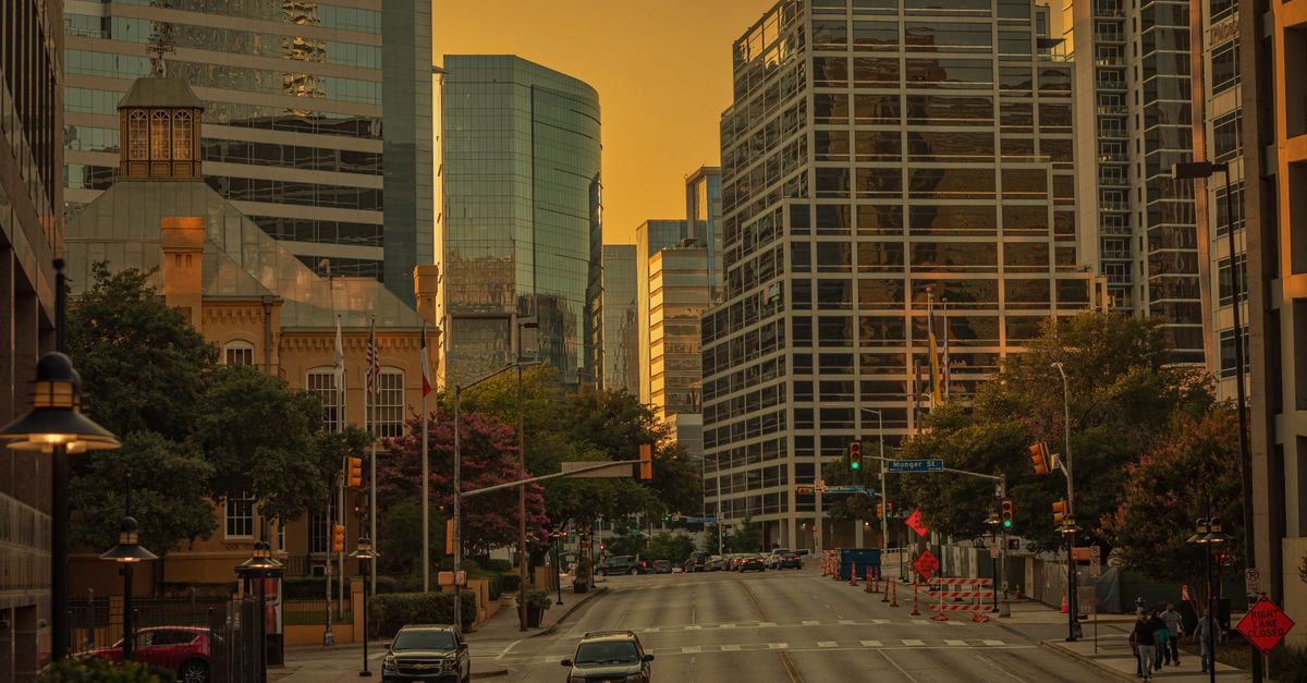 Dallas street lined with trees and buildings at golden hour