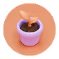 Small purple flower pot with dark soil and a delicate plant with three light orange leaves on a light orange circular background.