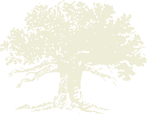 Watermark of the Landmark Icon