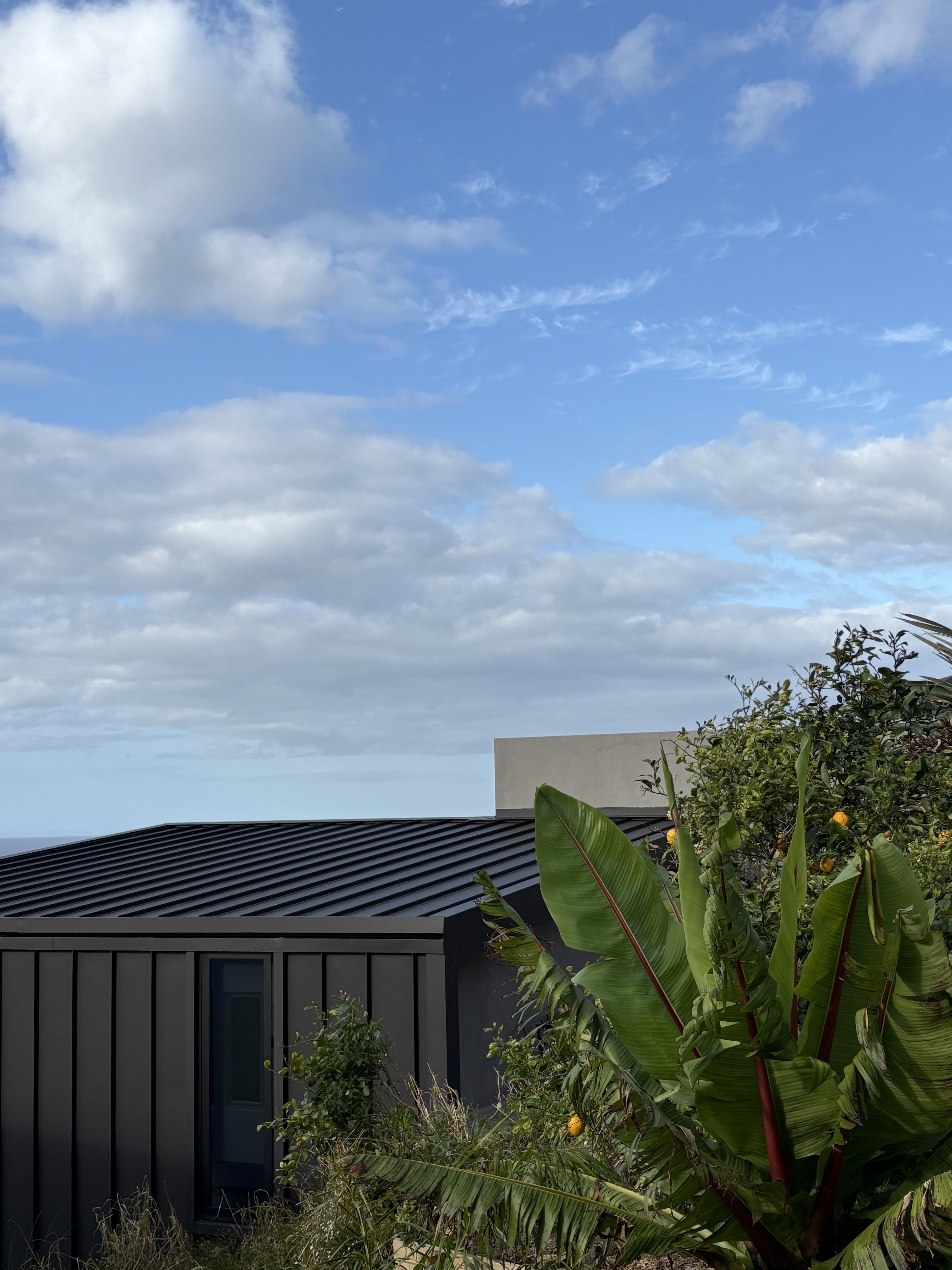 Fantail House by Matt Deeb Architecture: Modern dark gray building with a metal roof partially obscured by large green tropical plants under a blue sky with scattered clouds.