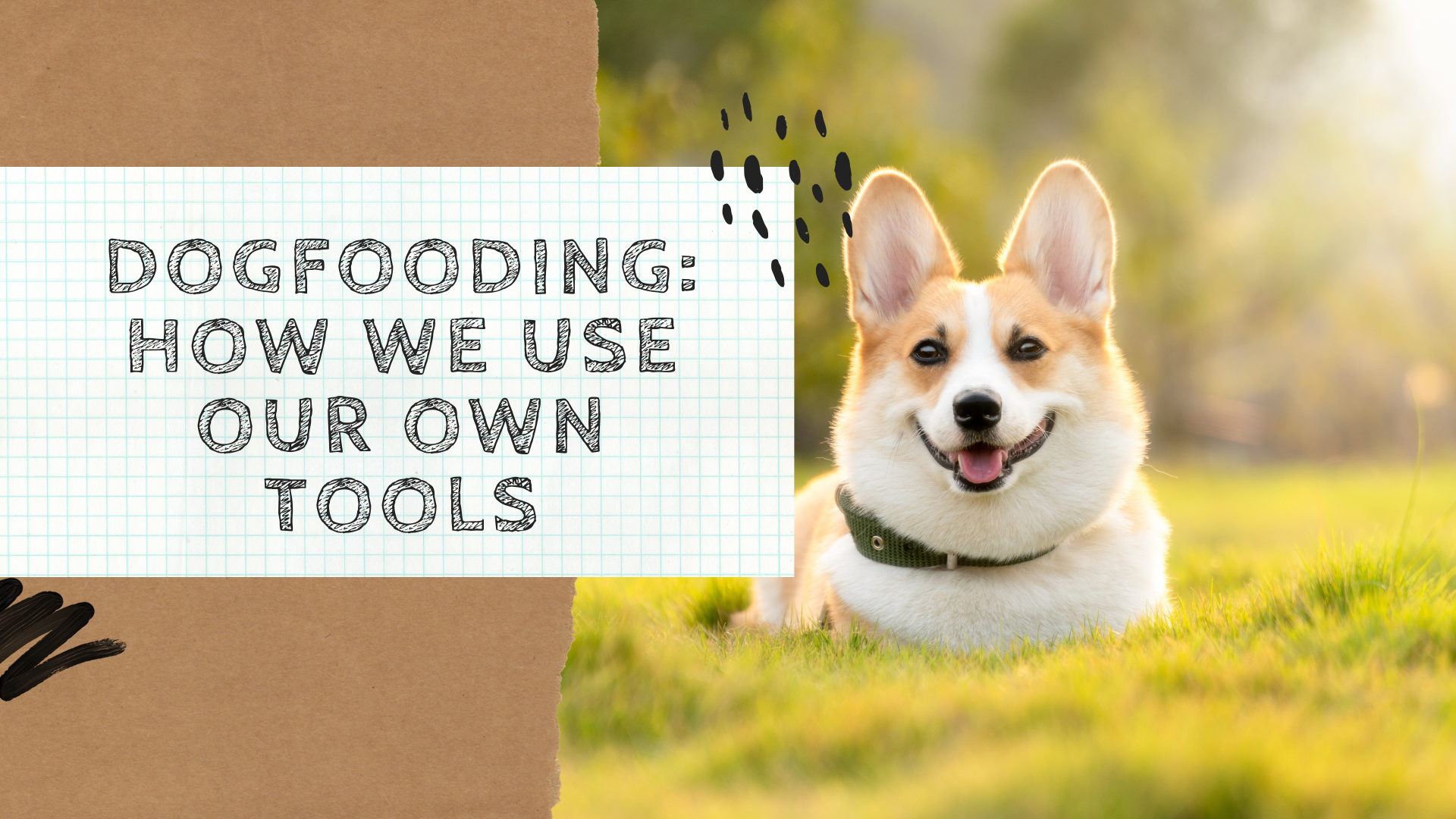 dogfooding-how-we-use-our-own-tools