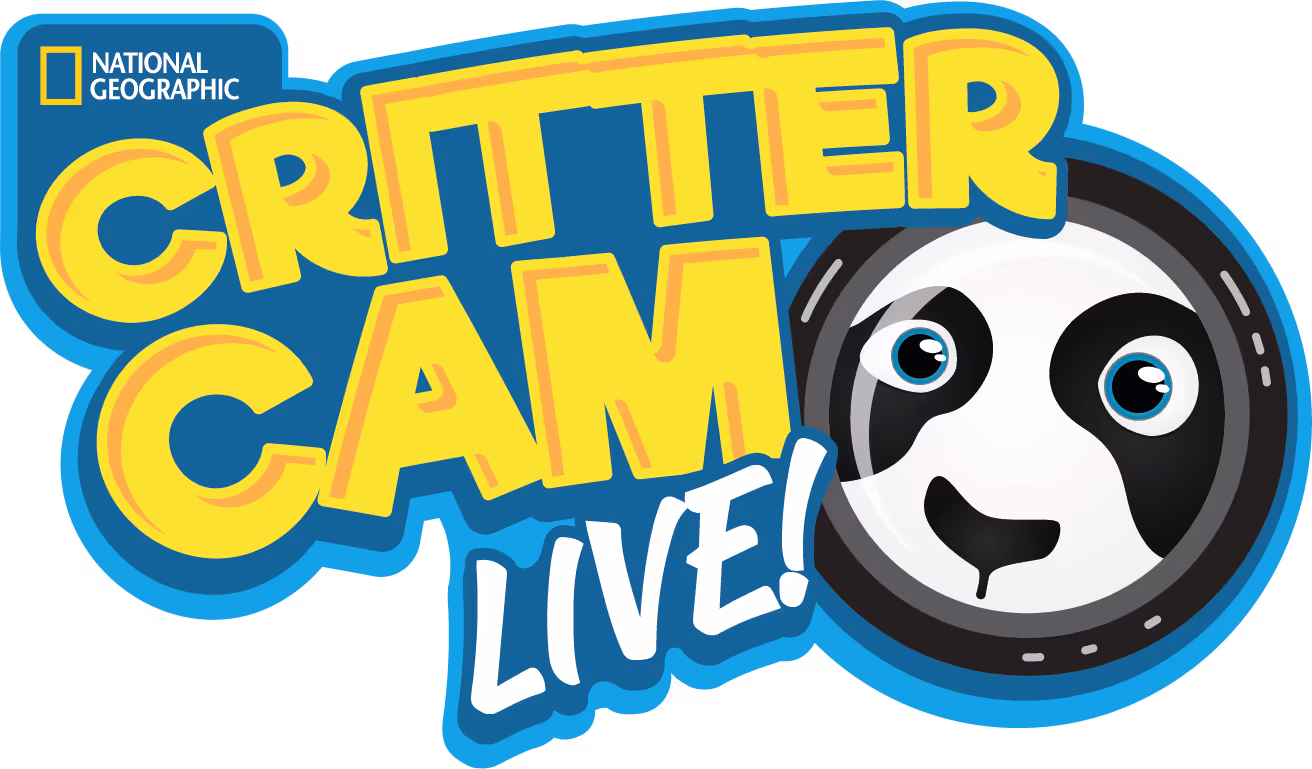 Critter Cam Live logo featuring cartoon panda character with bold yellow text