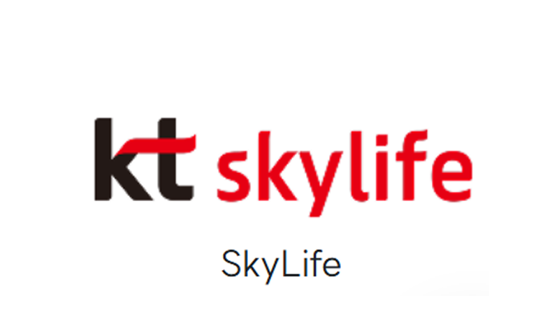 스카이라이프 인터넷