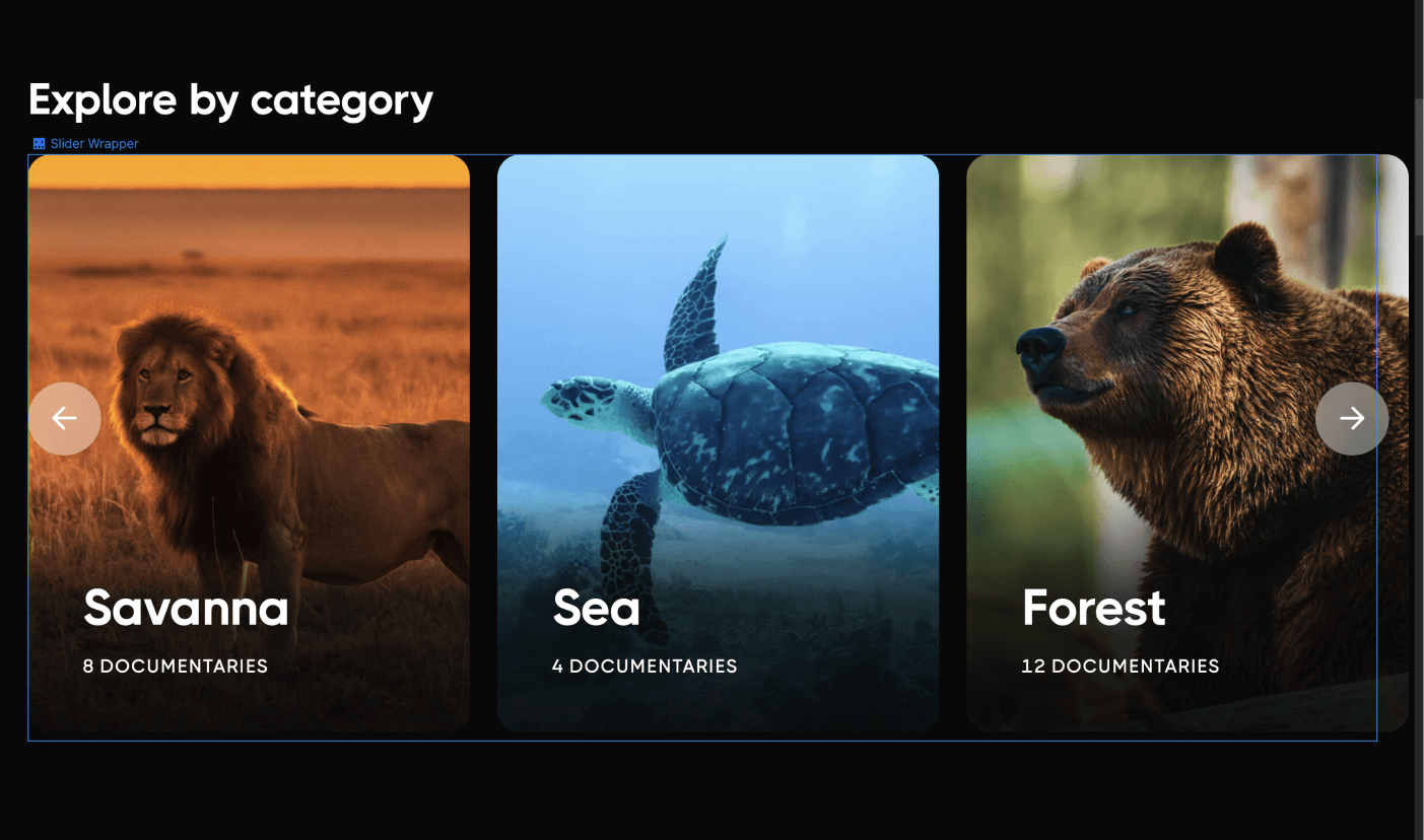 CMS - Streaming X Webflow Template