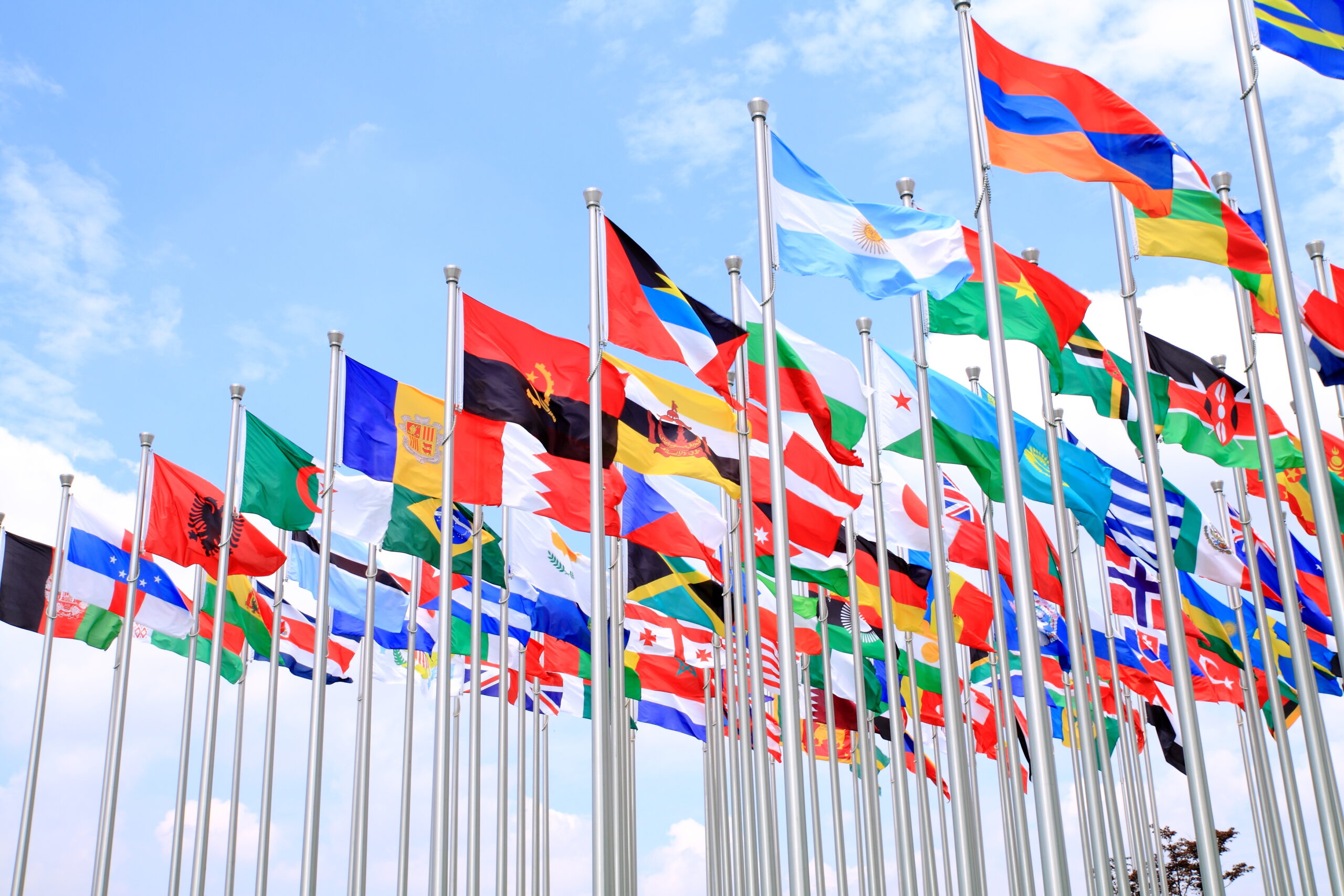 2024: Foreign Policy In Review