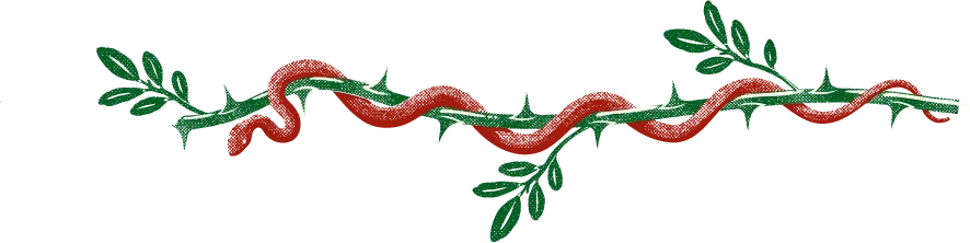 A snake curled around a thorny branch