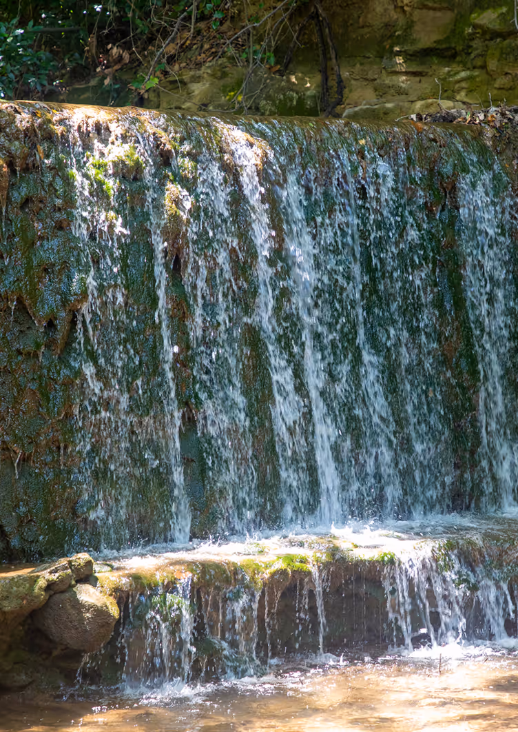 Restaurant About - Hotel Webflow Template