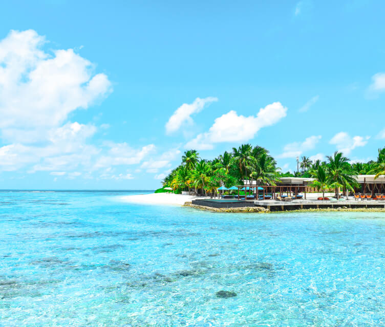 Surfing 101: How to learn to surf in your next vacation