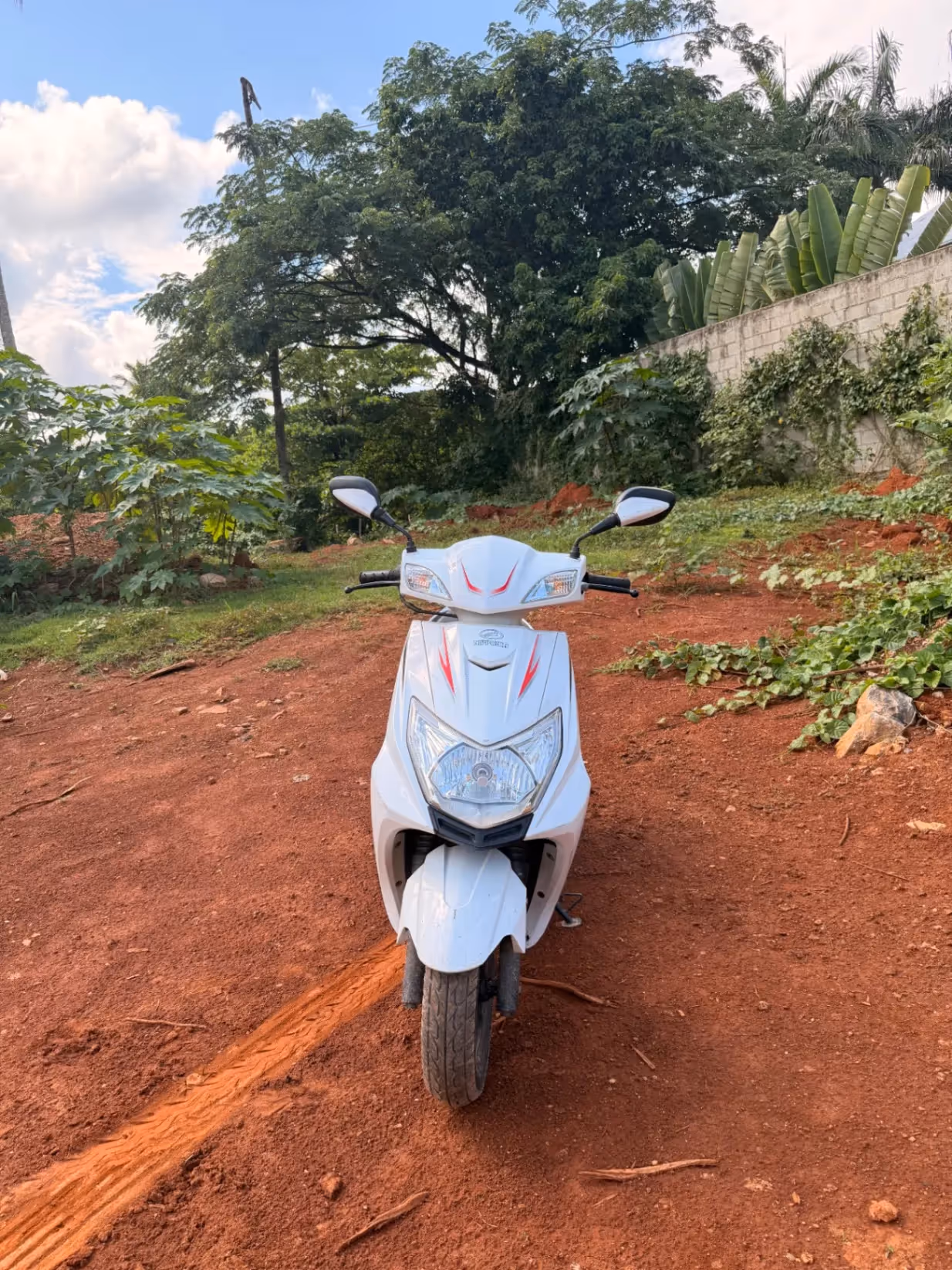 Nipponia Miro130 (2024)