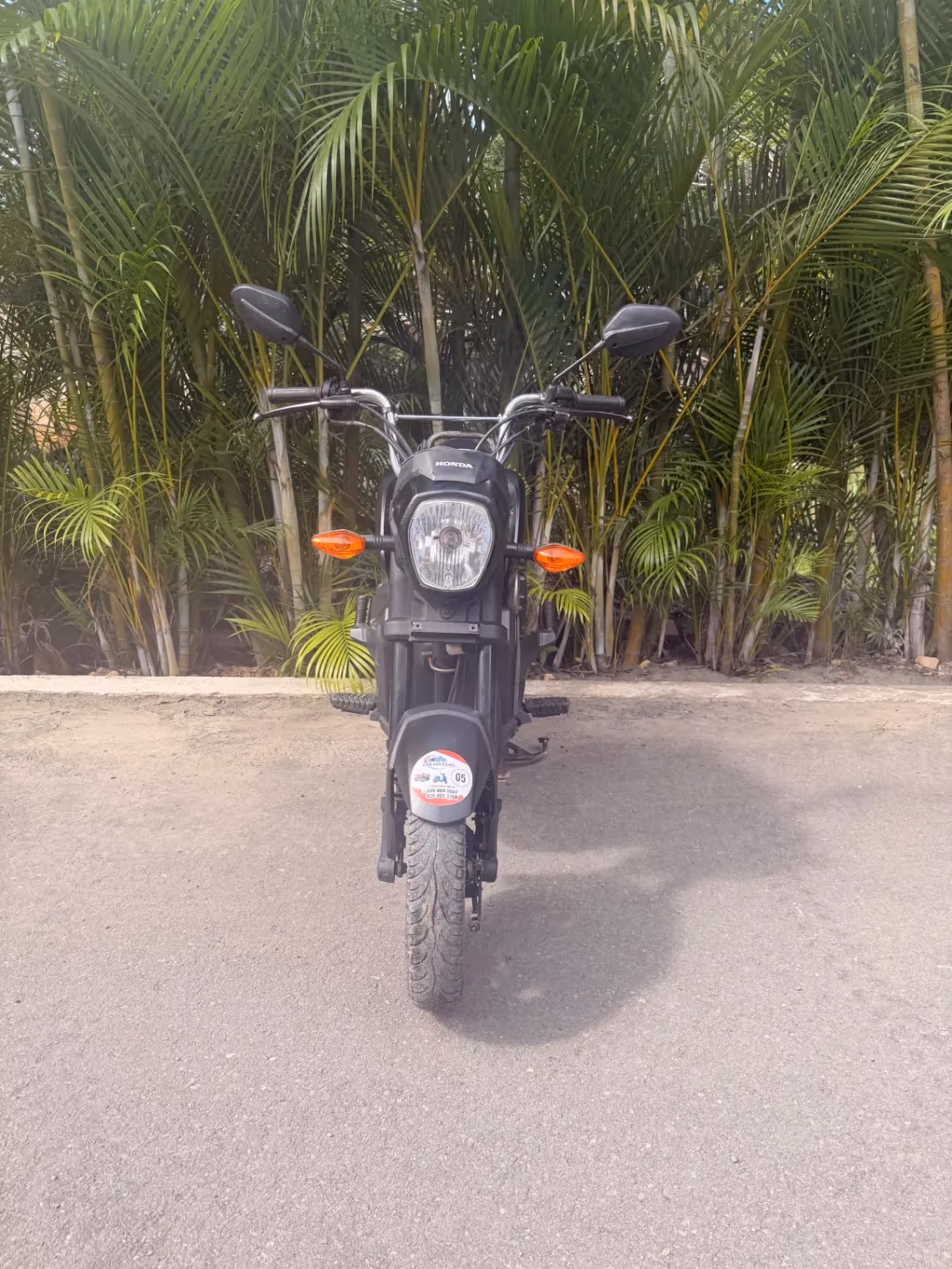 Honda Navi (2021)