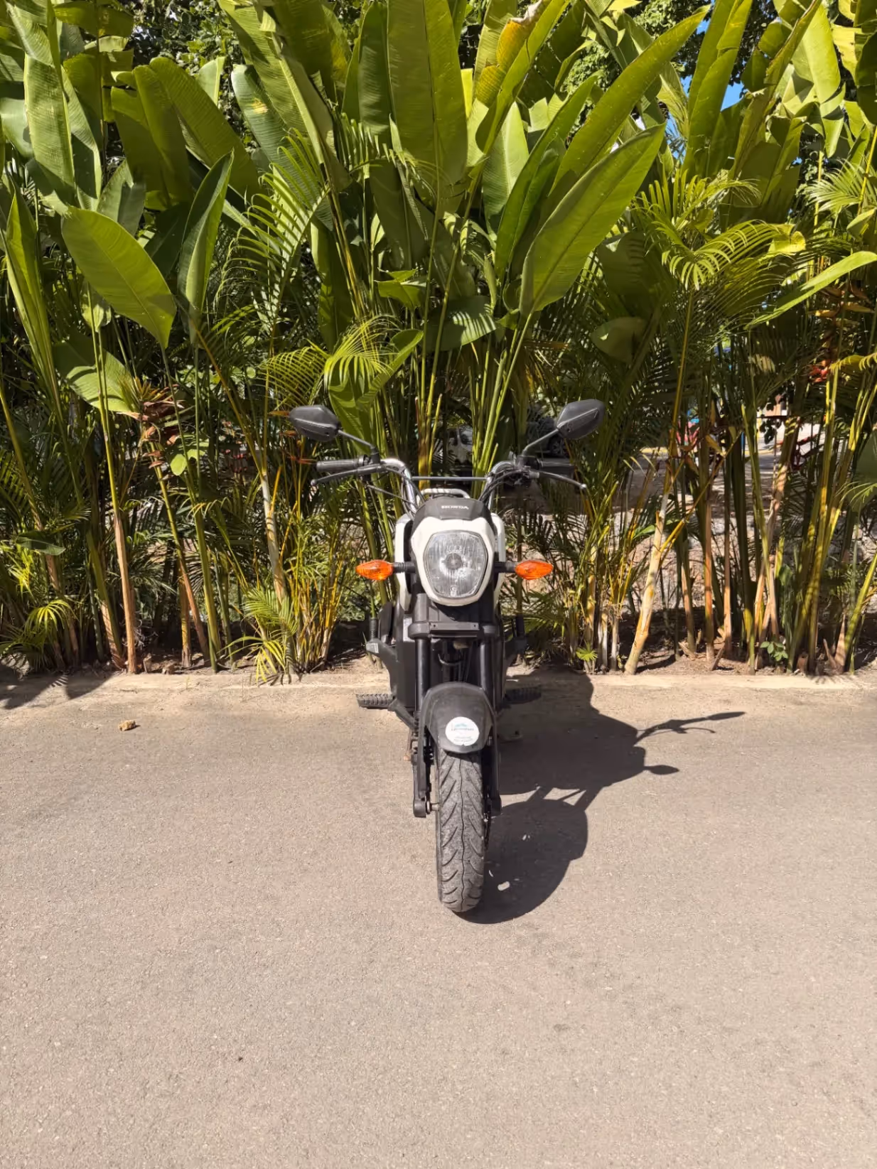 Honda Navi (2021)