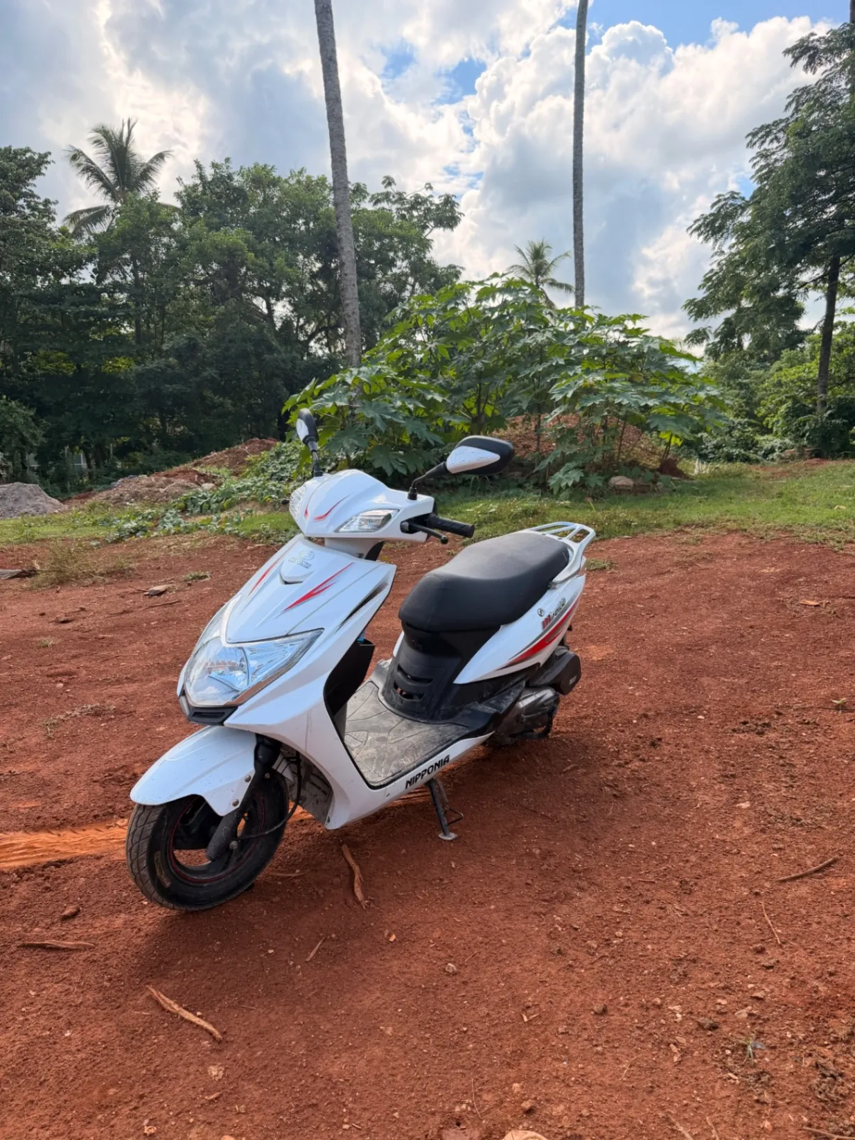 Nipponia Miro 130 (2024)