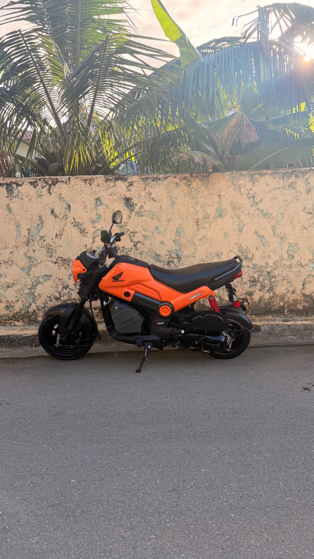 Honda Navi (2024)