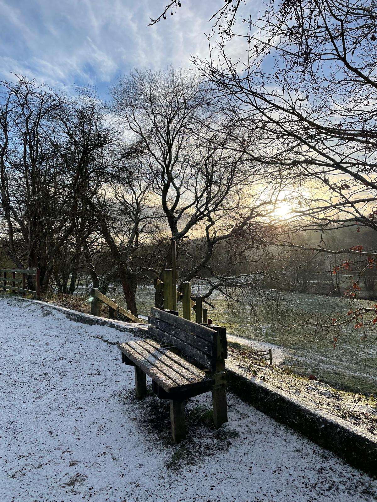 Psychic Readings & Reading Groups