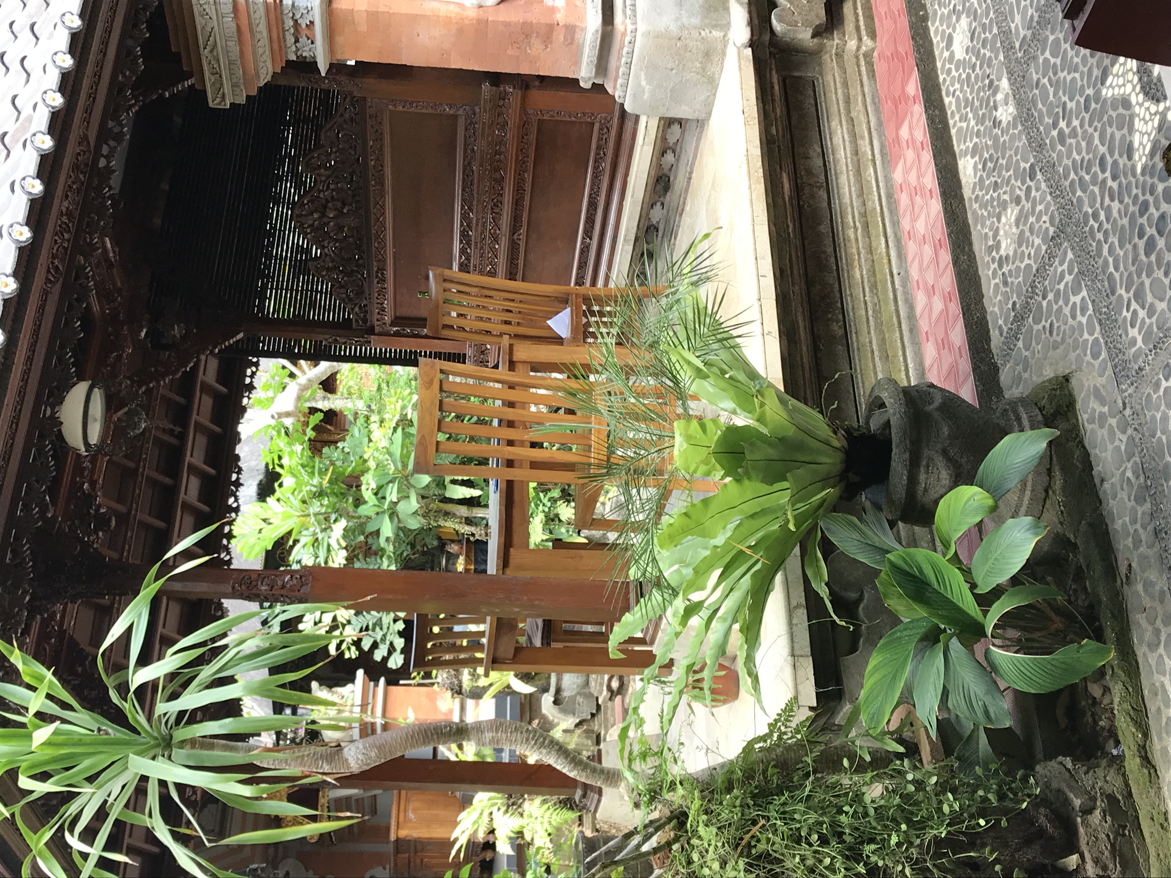 Aromatherapy Oils - Benefits