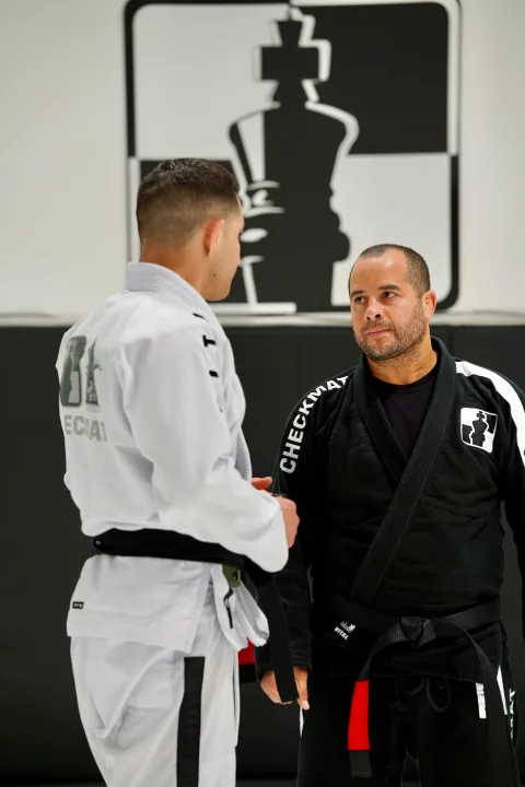 Affiliation in Checkmat