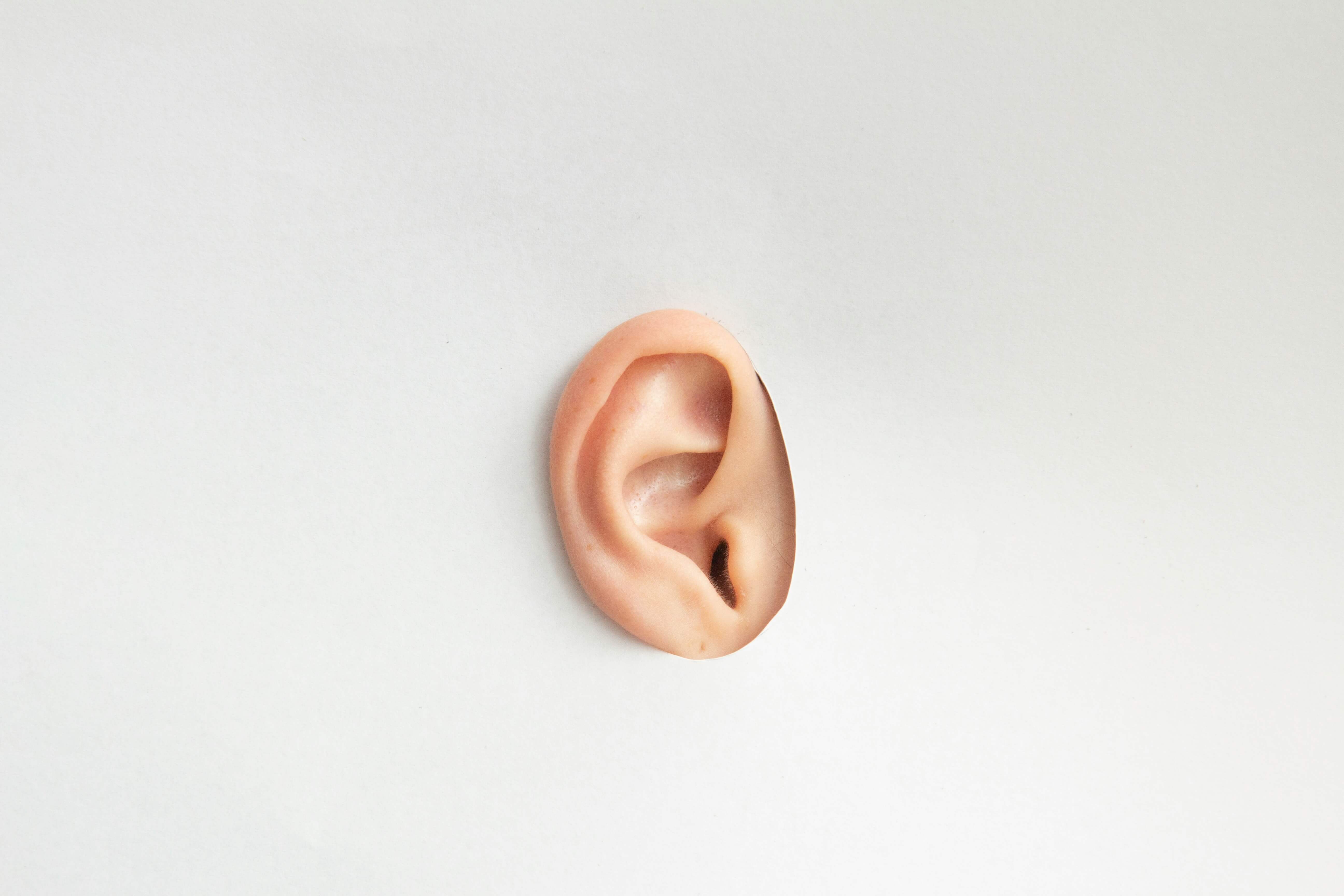 Ear