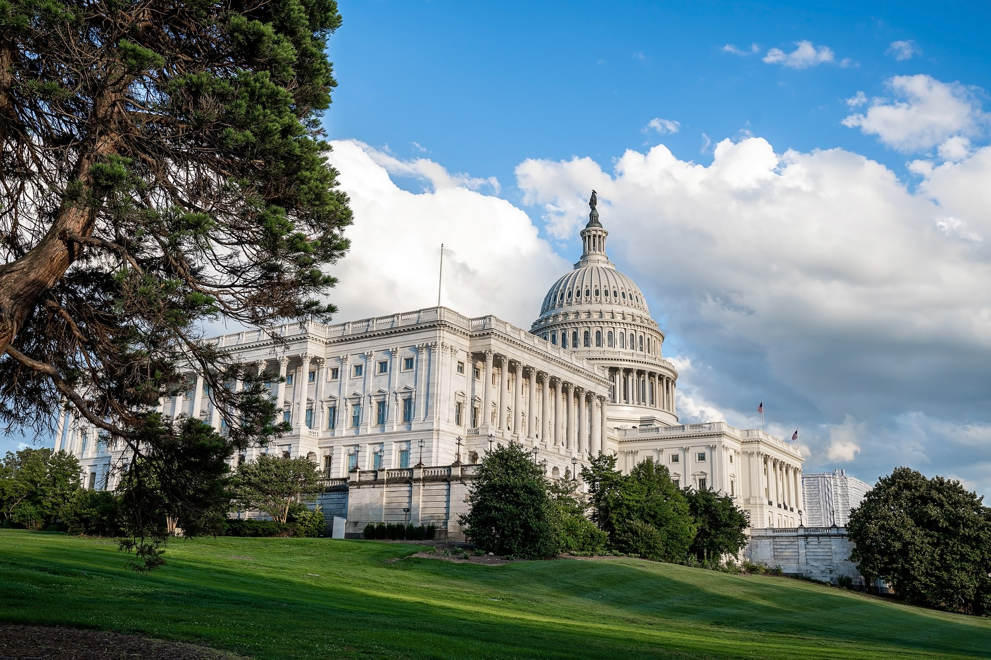 Turbocharge Your Fleet Electrification with Government Incentives