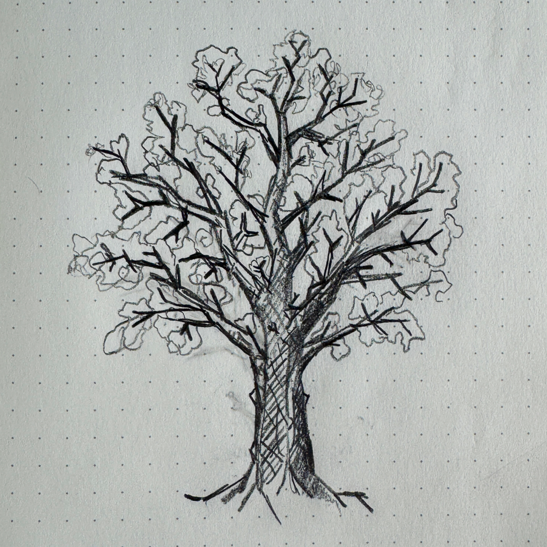 A drawing of a tree