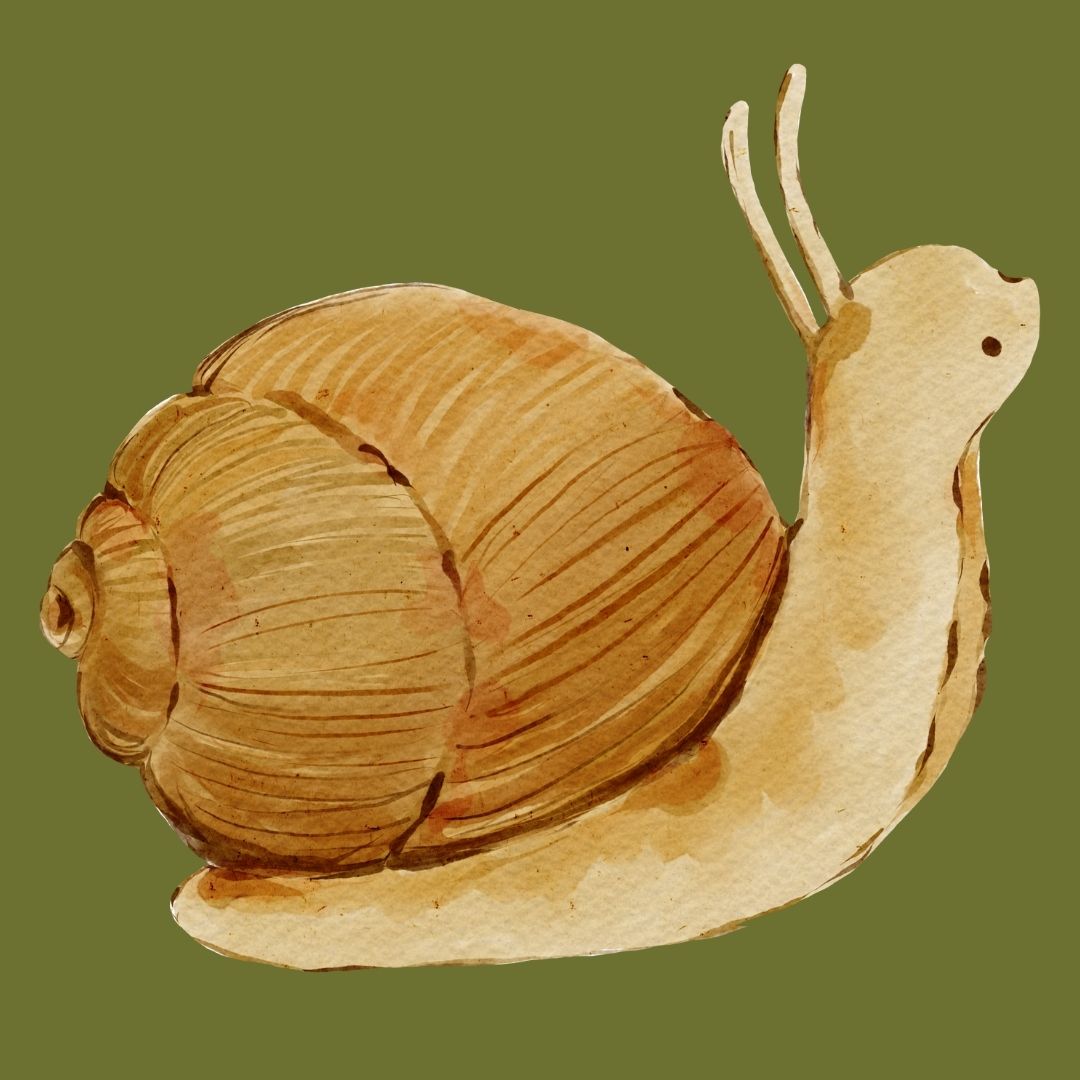 [headshot] image of customer (for a preschools & daycare)