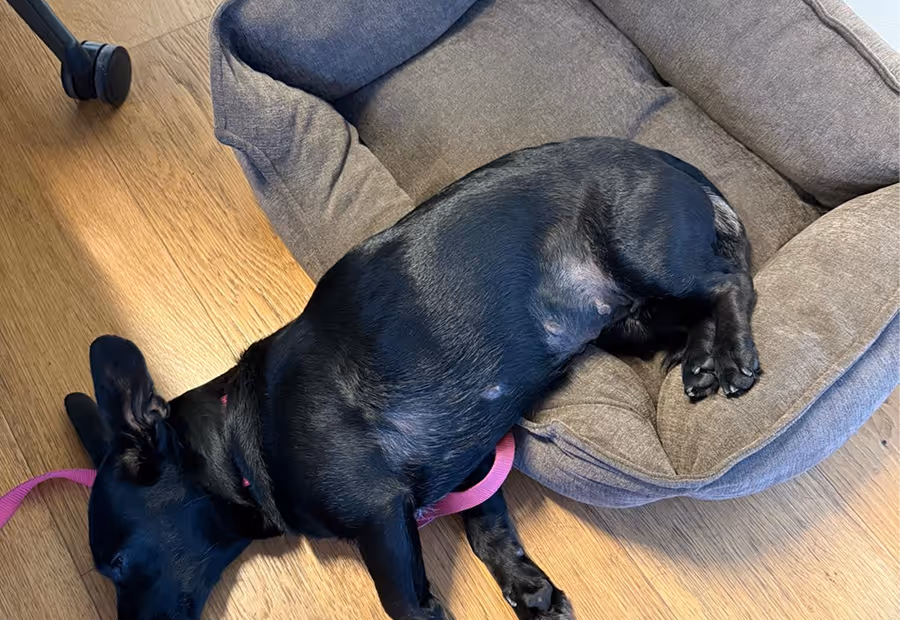 ryft staff happy moments