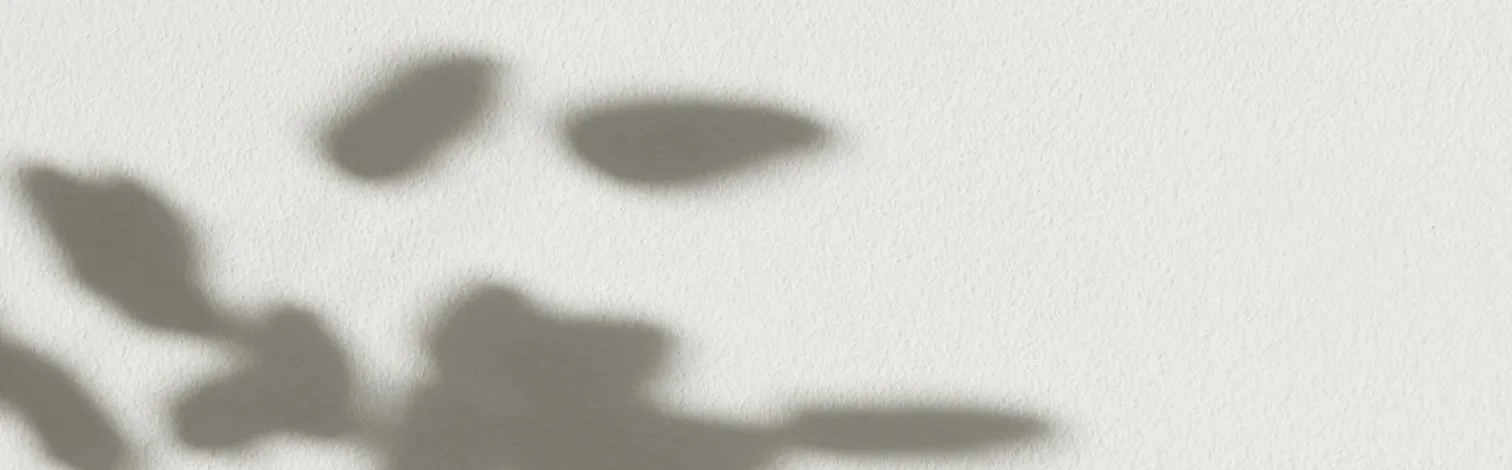 Soft shadows of leaves on a textured white wall.