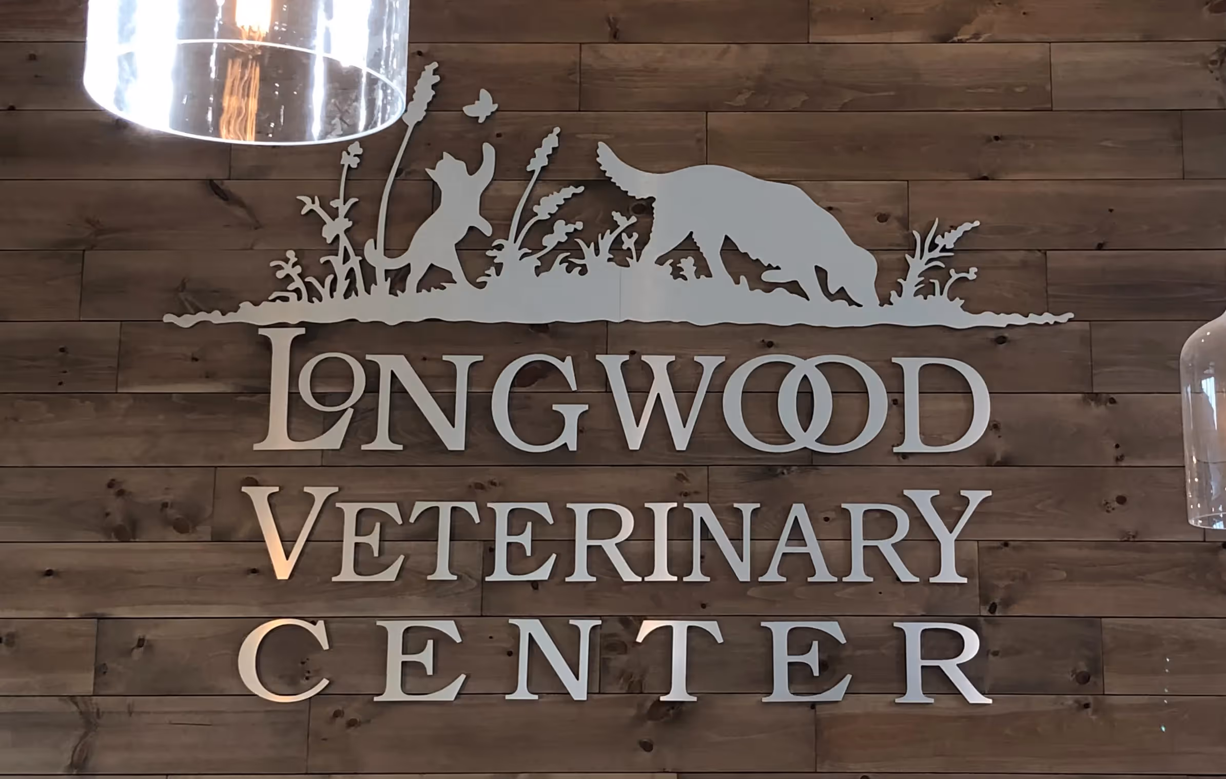 Brushed aluminum dimensional letters with a custom nature scene above