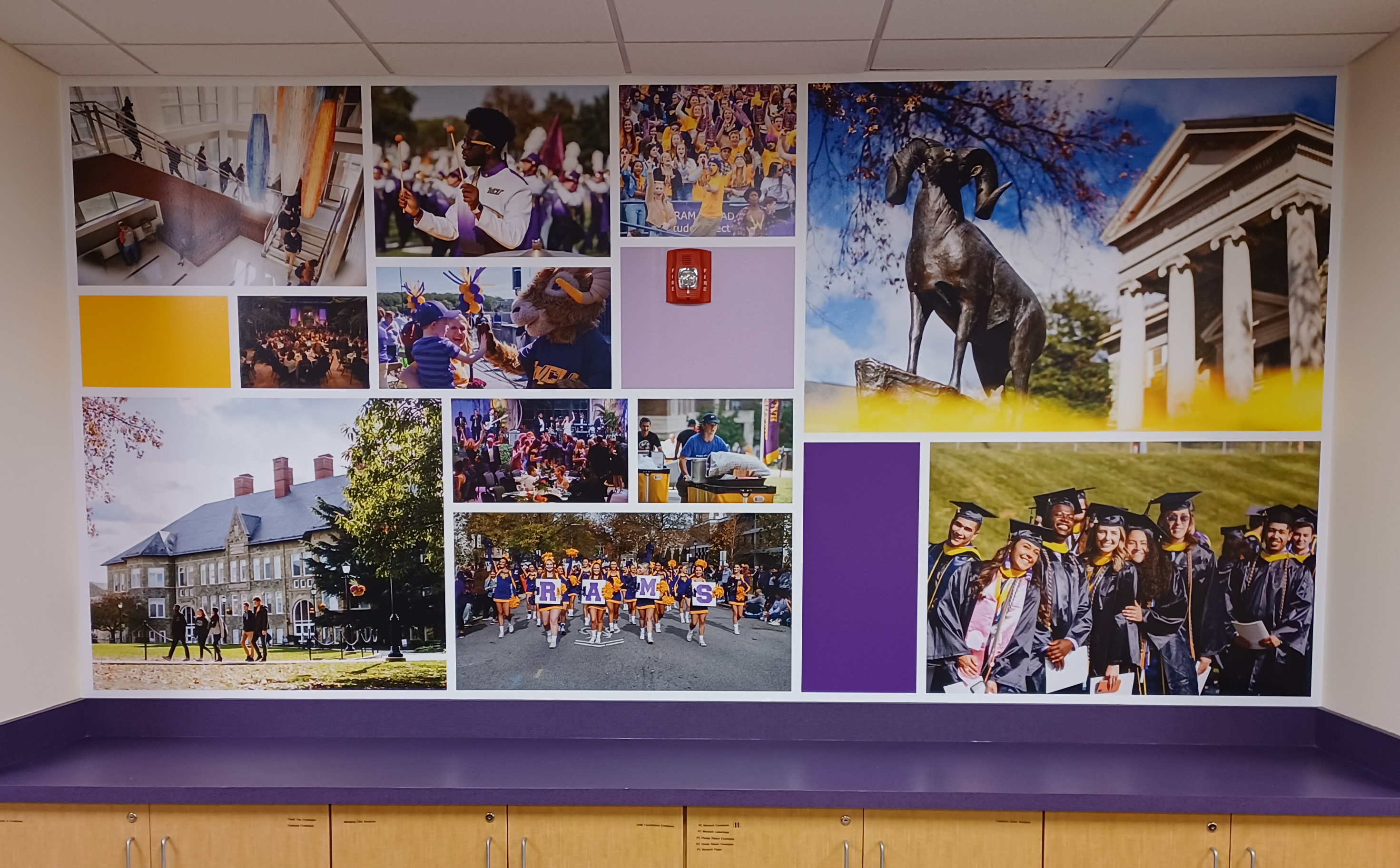 Large vinyl wall graphic of a picture collage