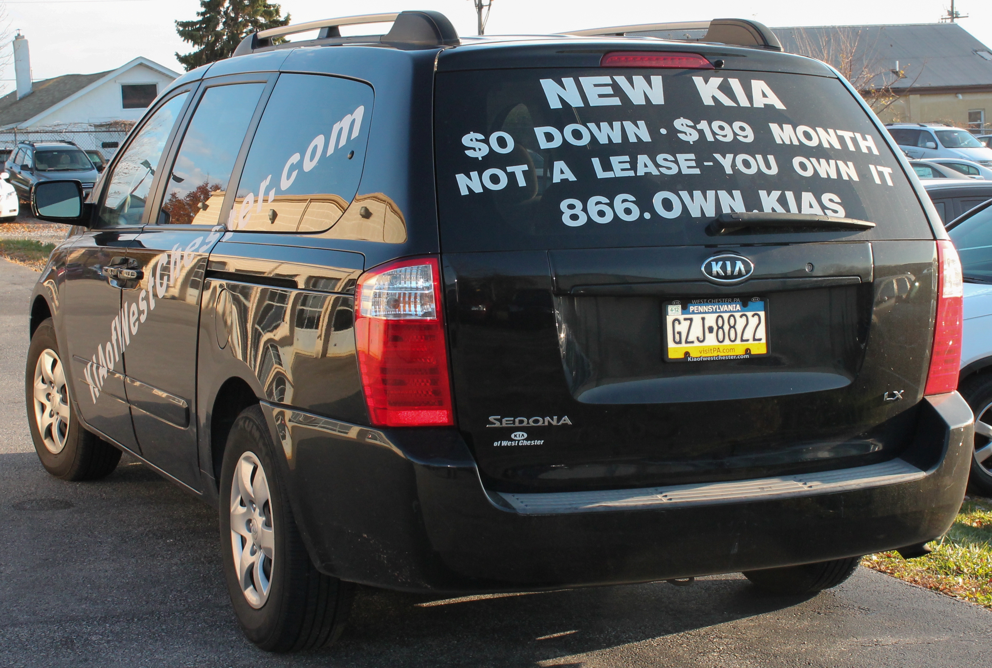 White vinyl lettering on a car's back window