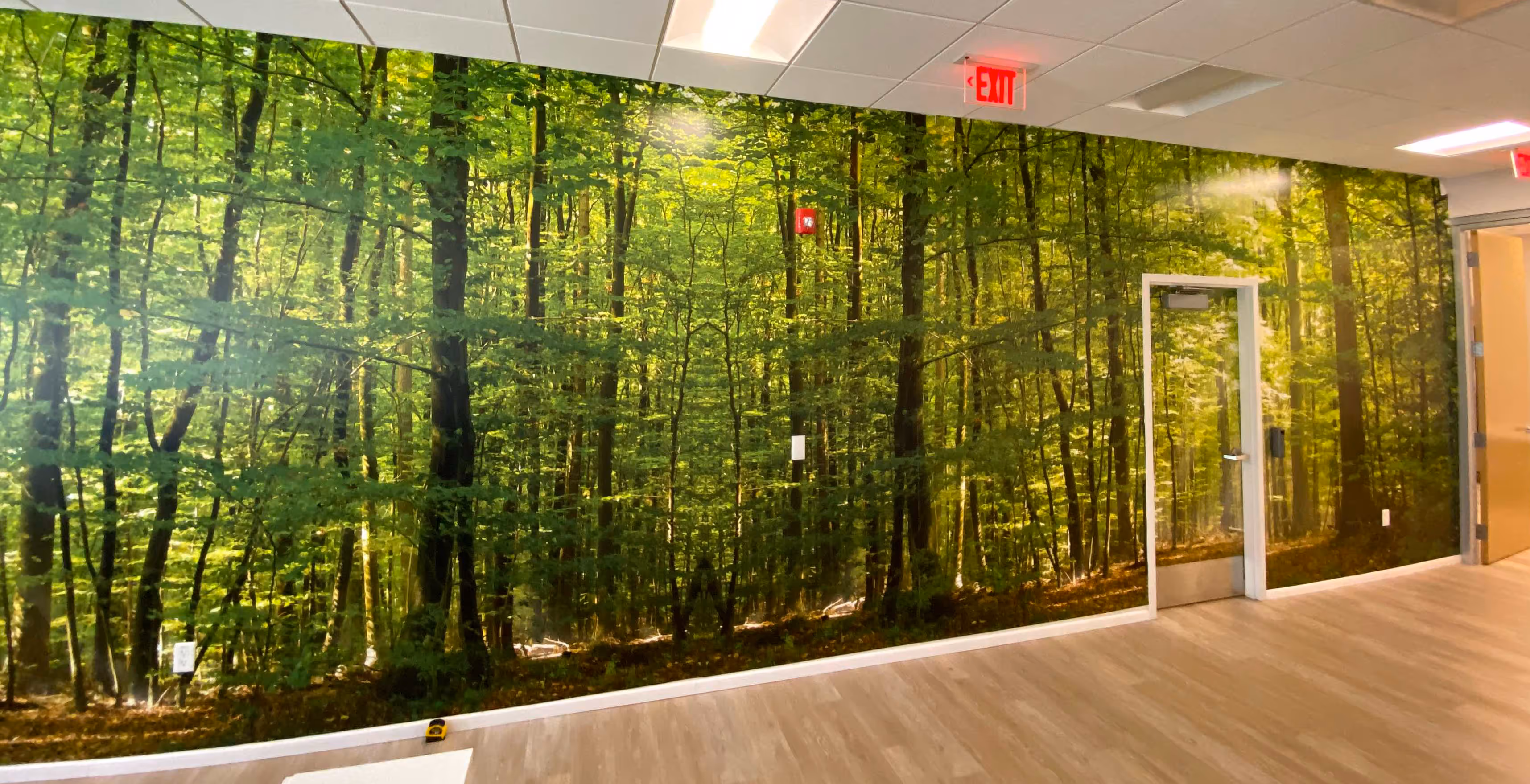 Mutli-panel vinyl installation on a wall and door