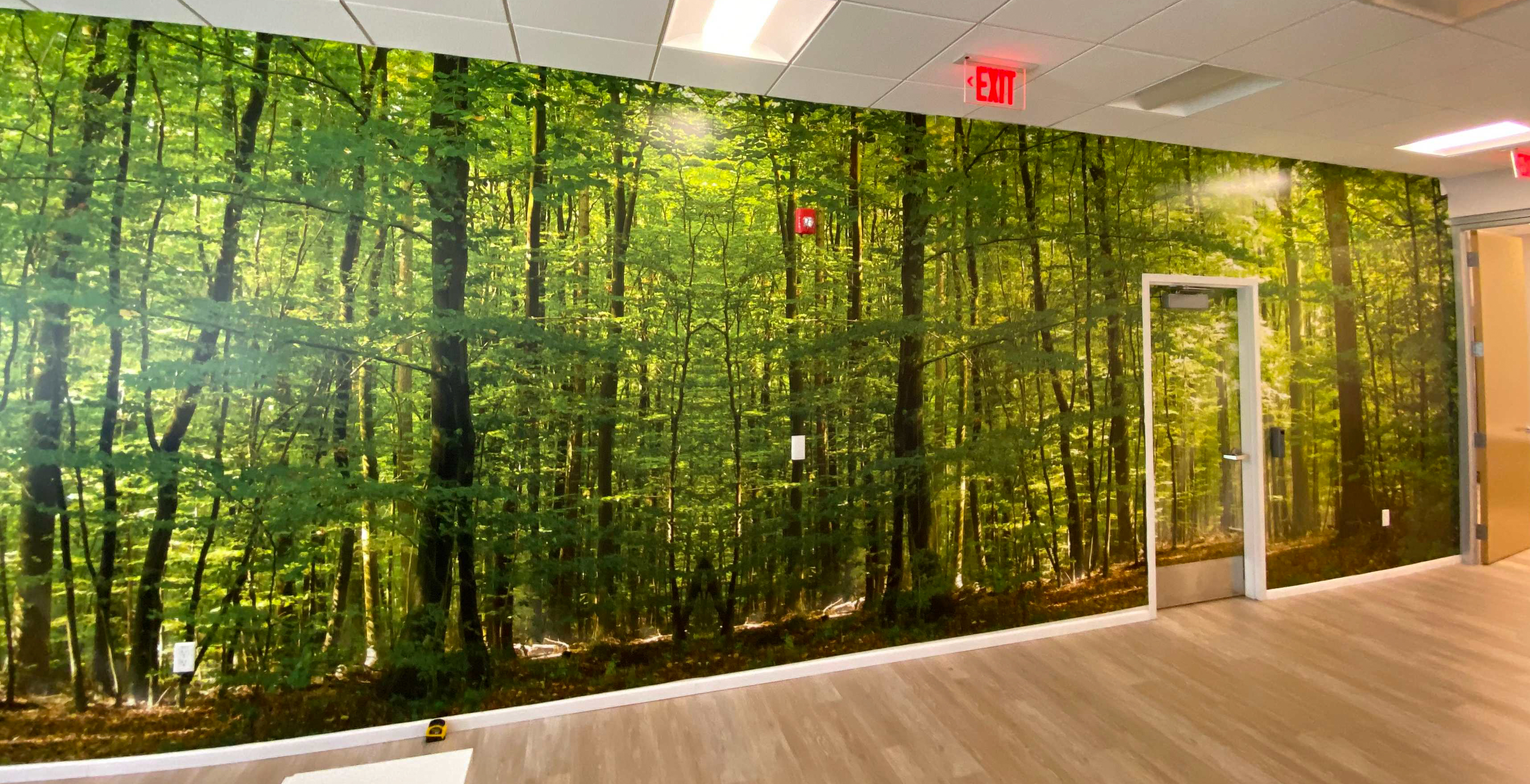 Mutli-panel vinyl installation on a wall and door