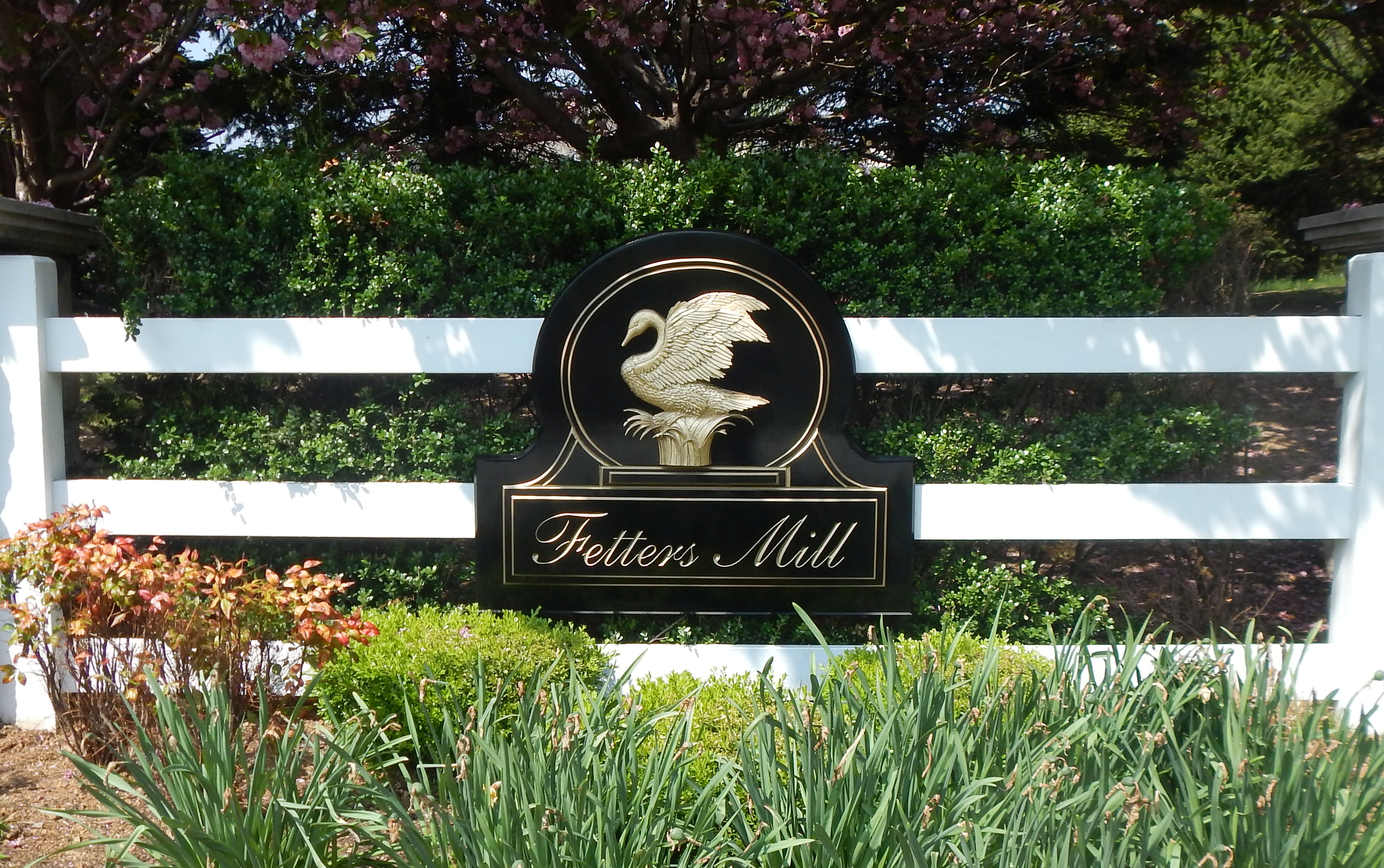 Black and gold carved HDU sign with large swan image