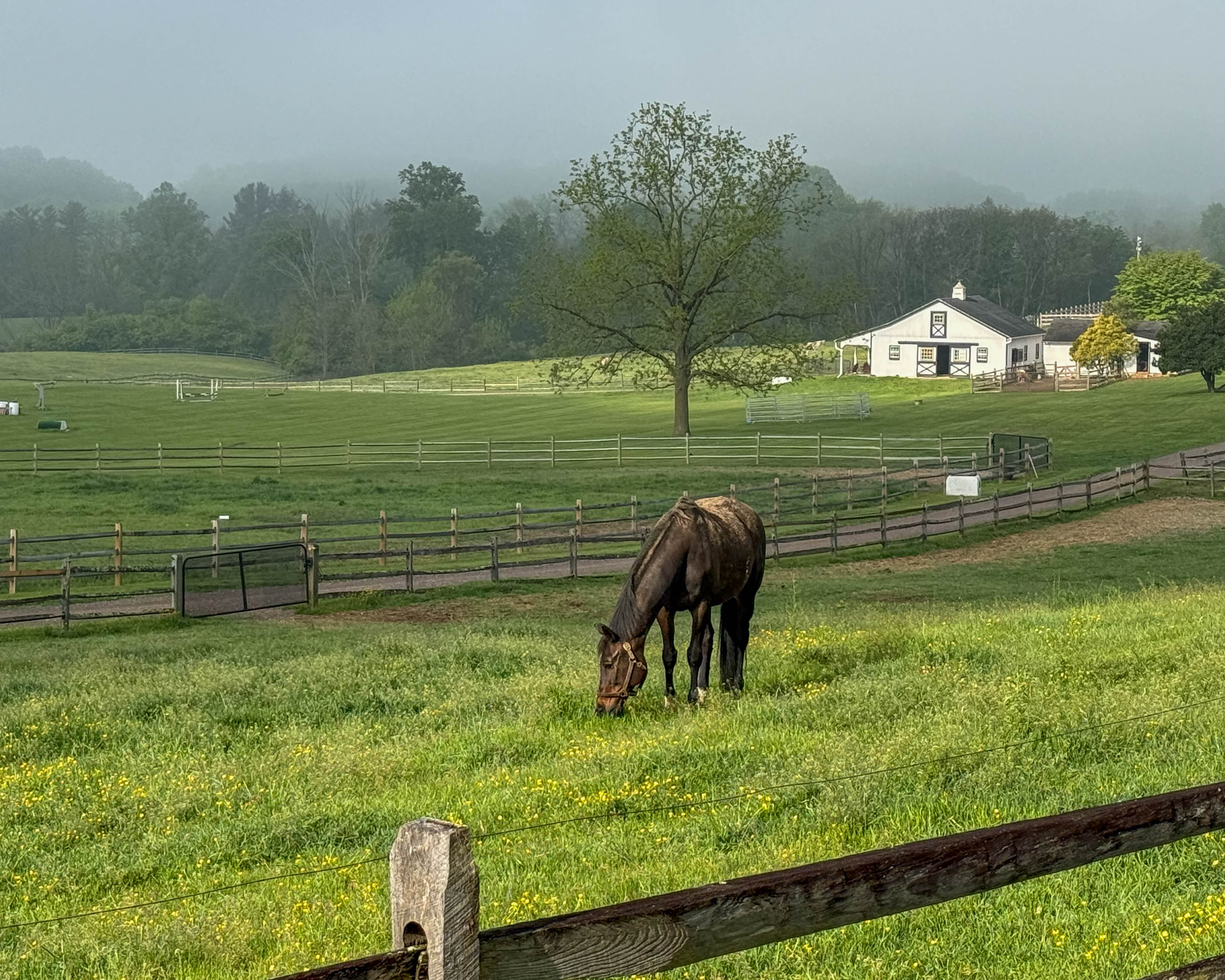 Heartwood Farm at 7025 Goshen Road in Willistown Township, Pennsylvania serving the local community