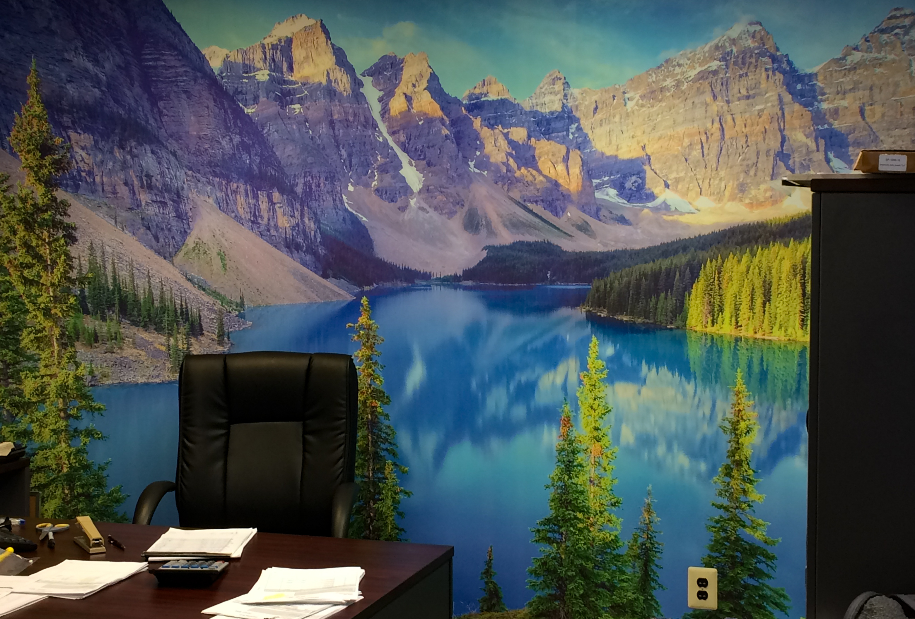 Full nature scene vinyled on an office wall