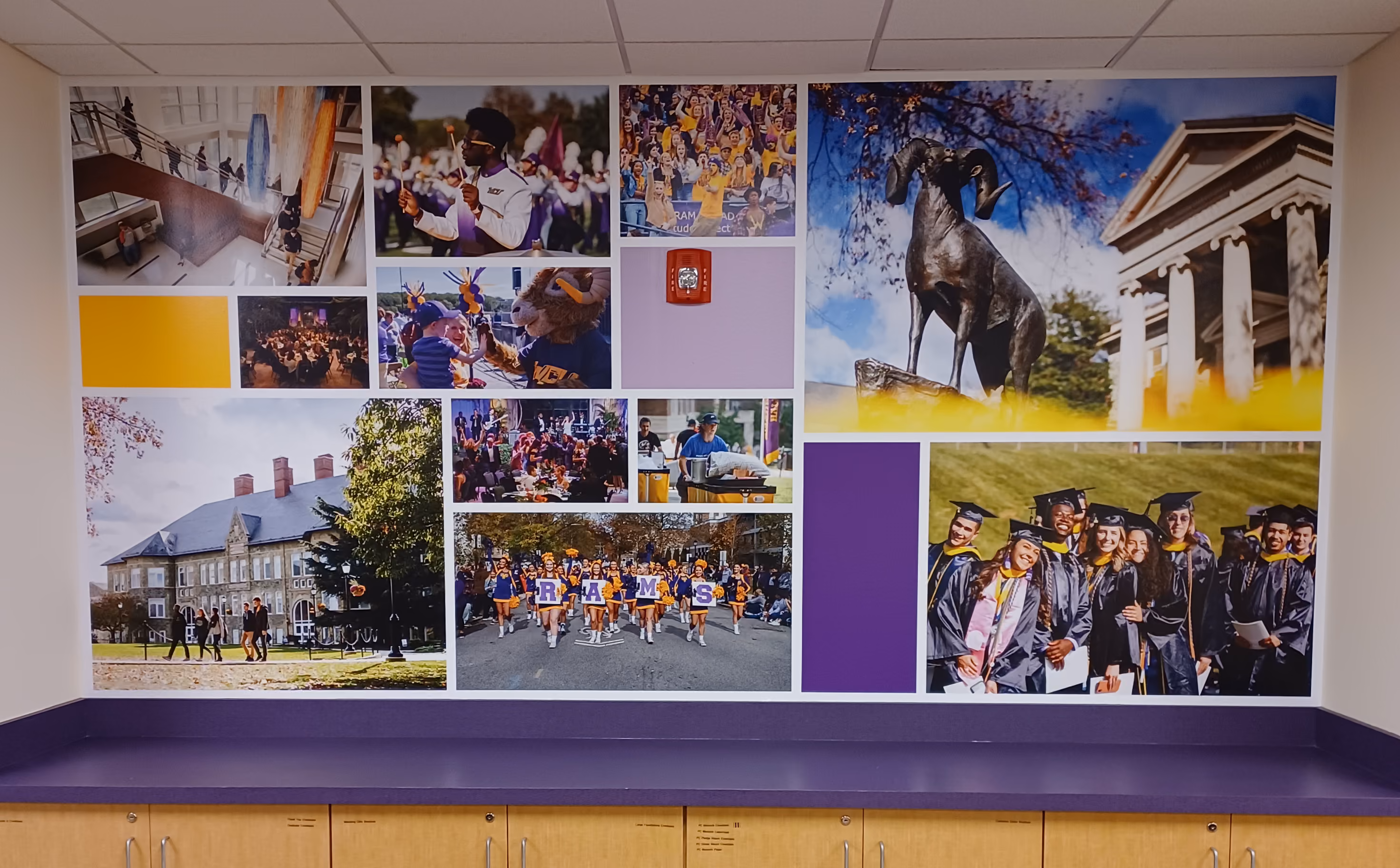 Large vinyl mural displaying a collage of photographs