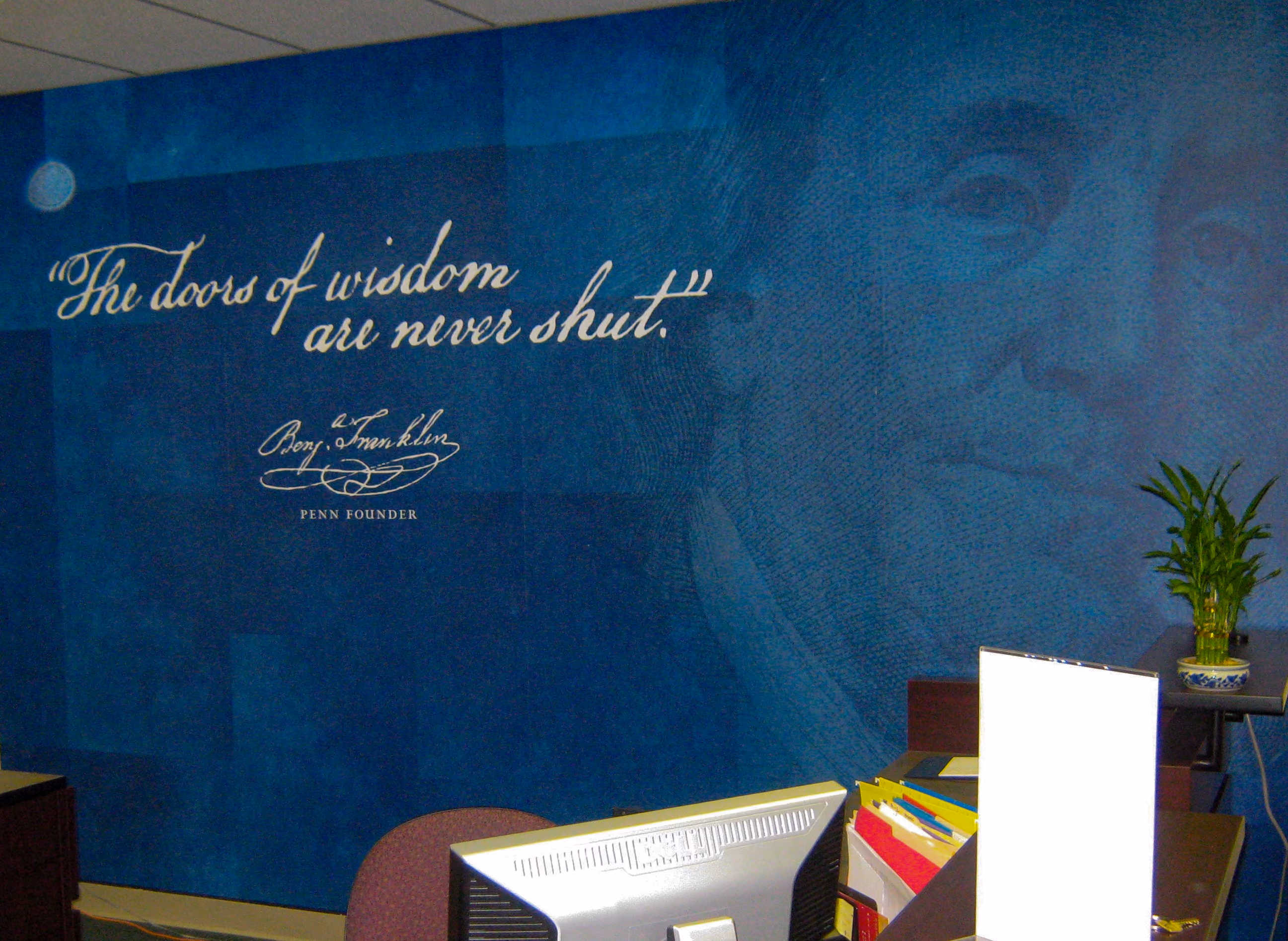 Full-wall vinyl graphic installation