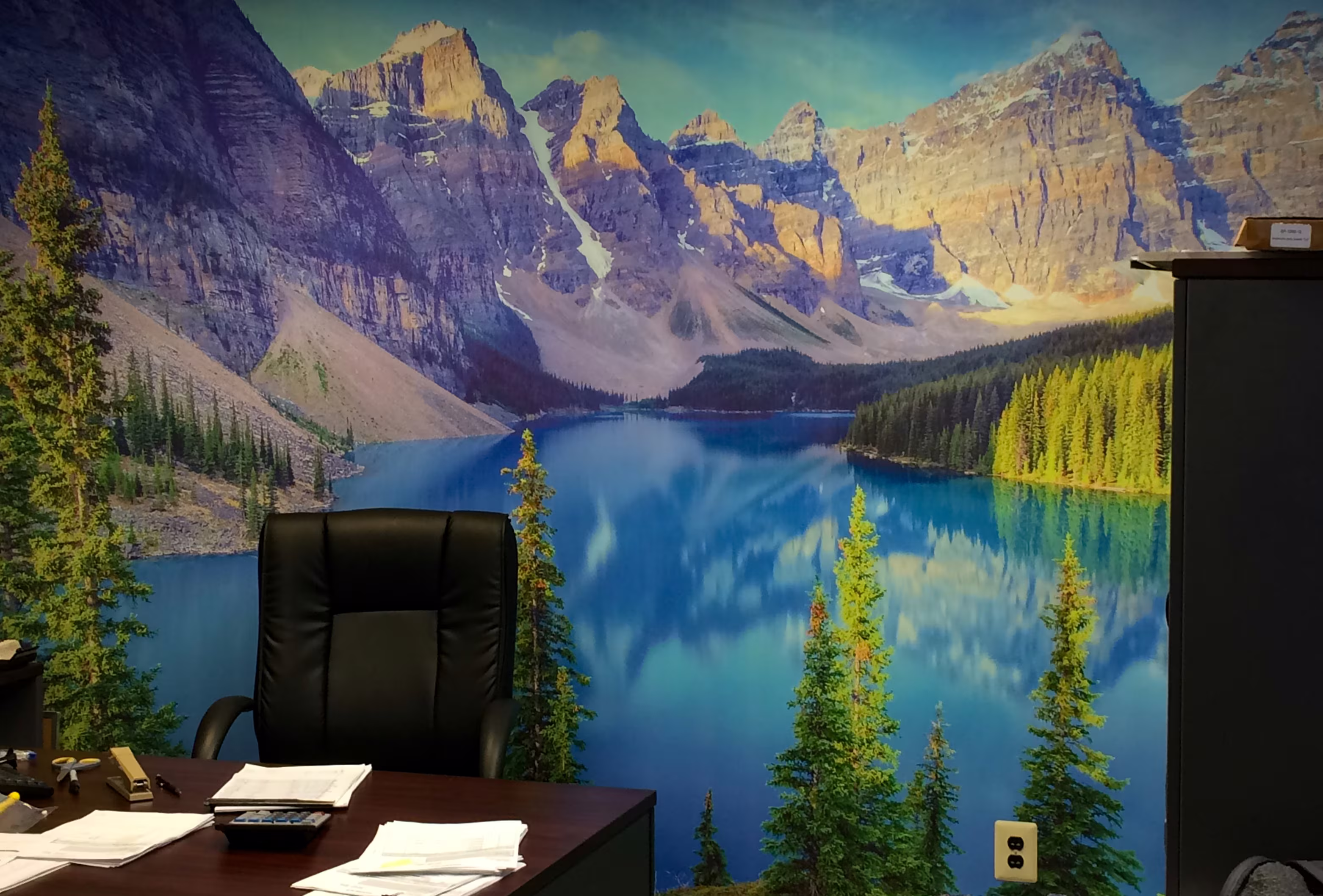 Full nature scene vinyled on an office wall