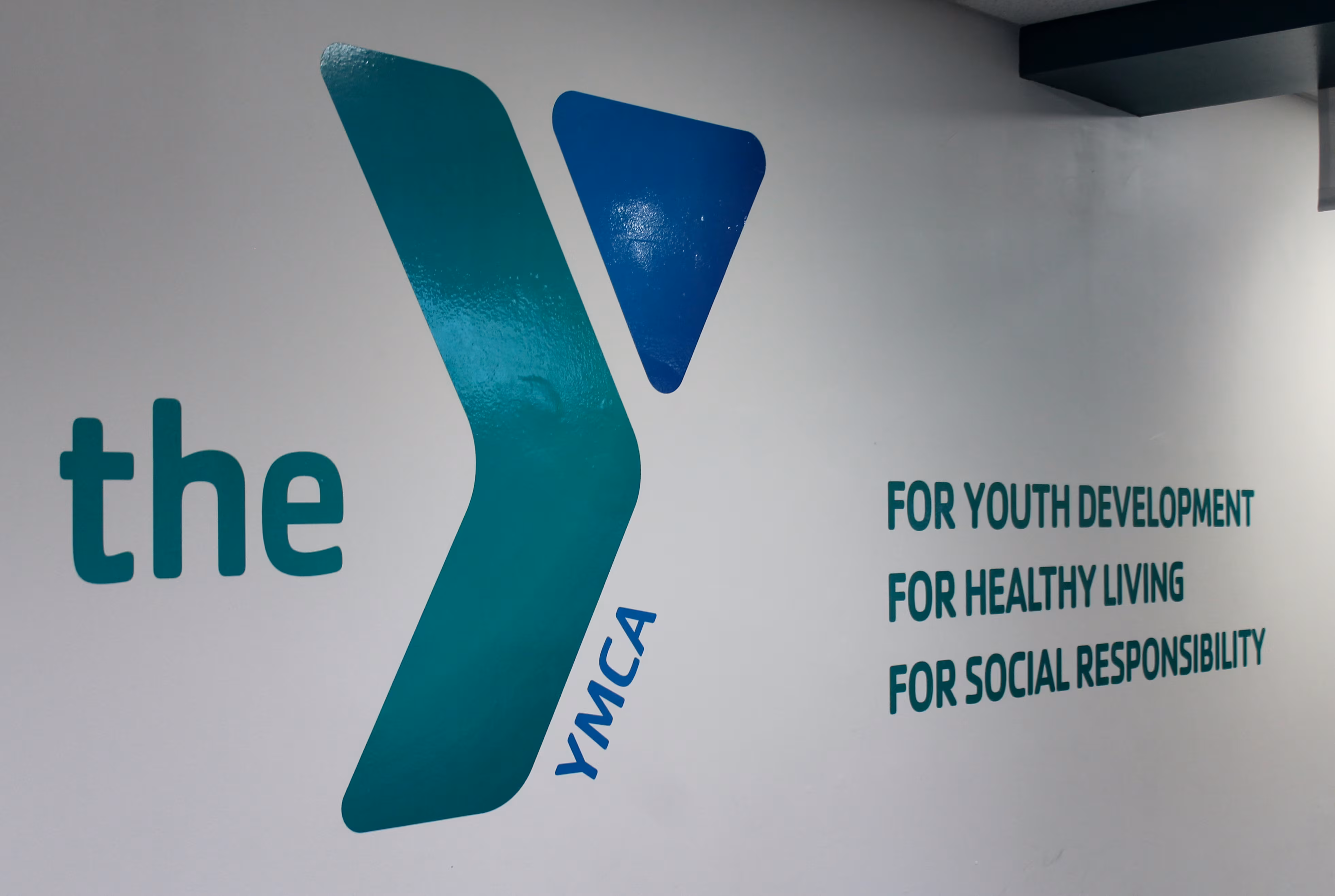 Plotted and weeded, two-color vinyl graphic on a white wall