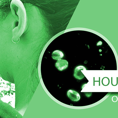 The Pollen Channel at YouTube: Daily Allergen Reports and Tips