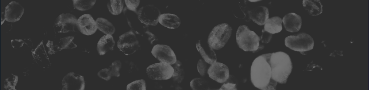 Pollen Wise 5 and Our Commitment to You