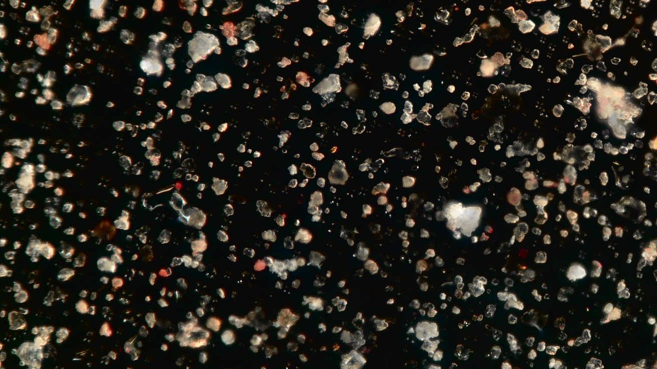 Why Pollen Wise is different from the rest