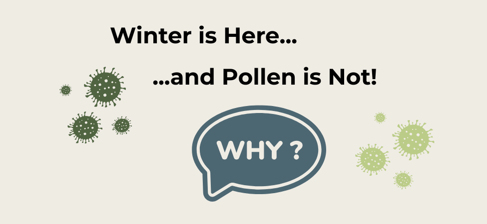 Winter is Here and Pollen is Not!