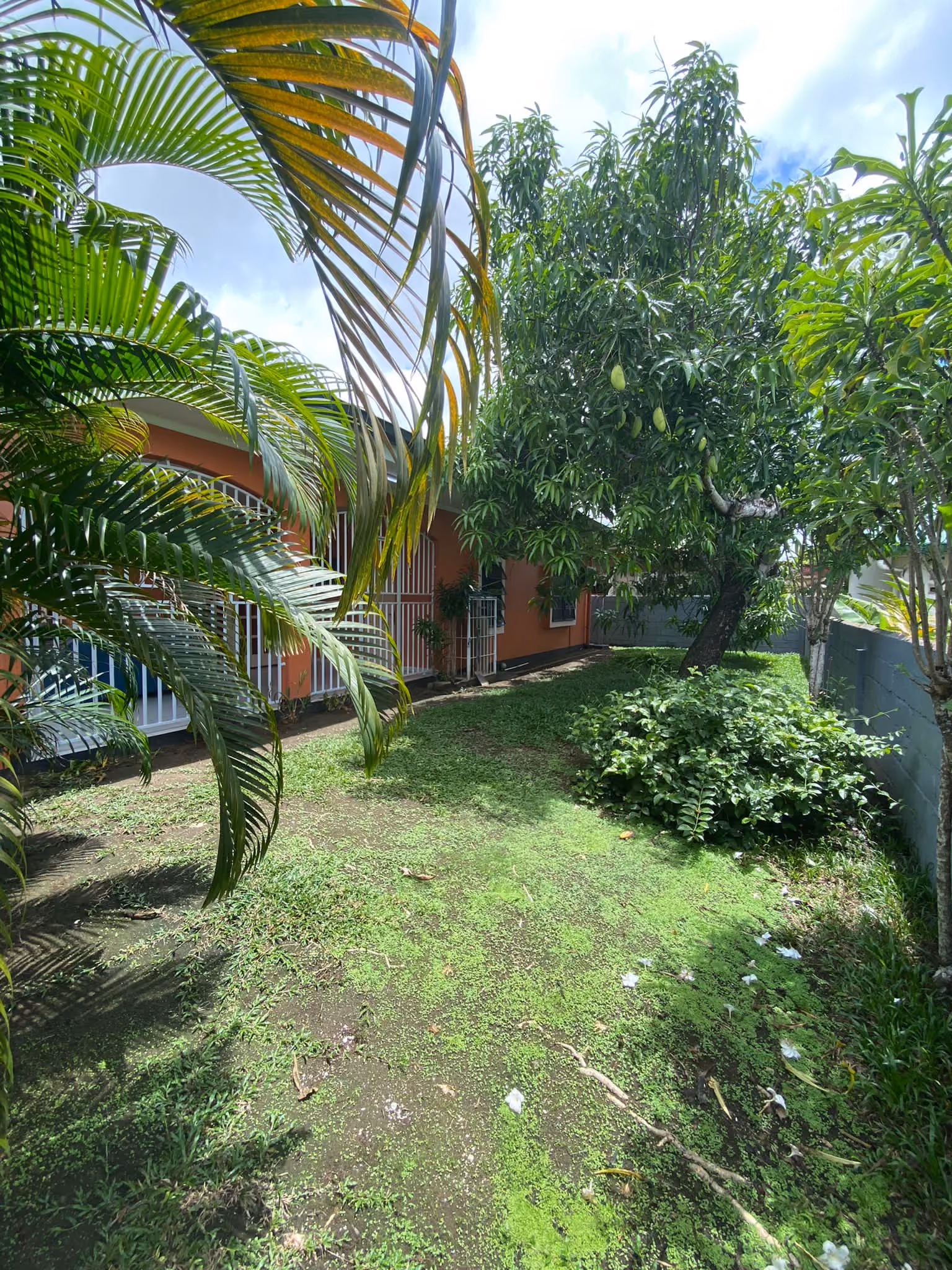 Afbeelding: woning 3