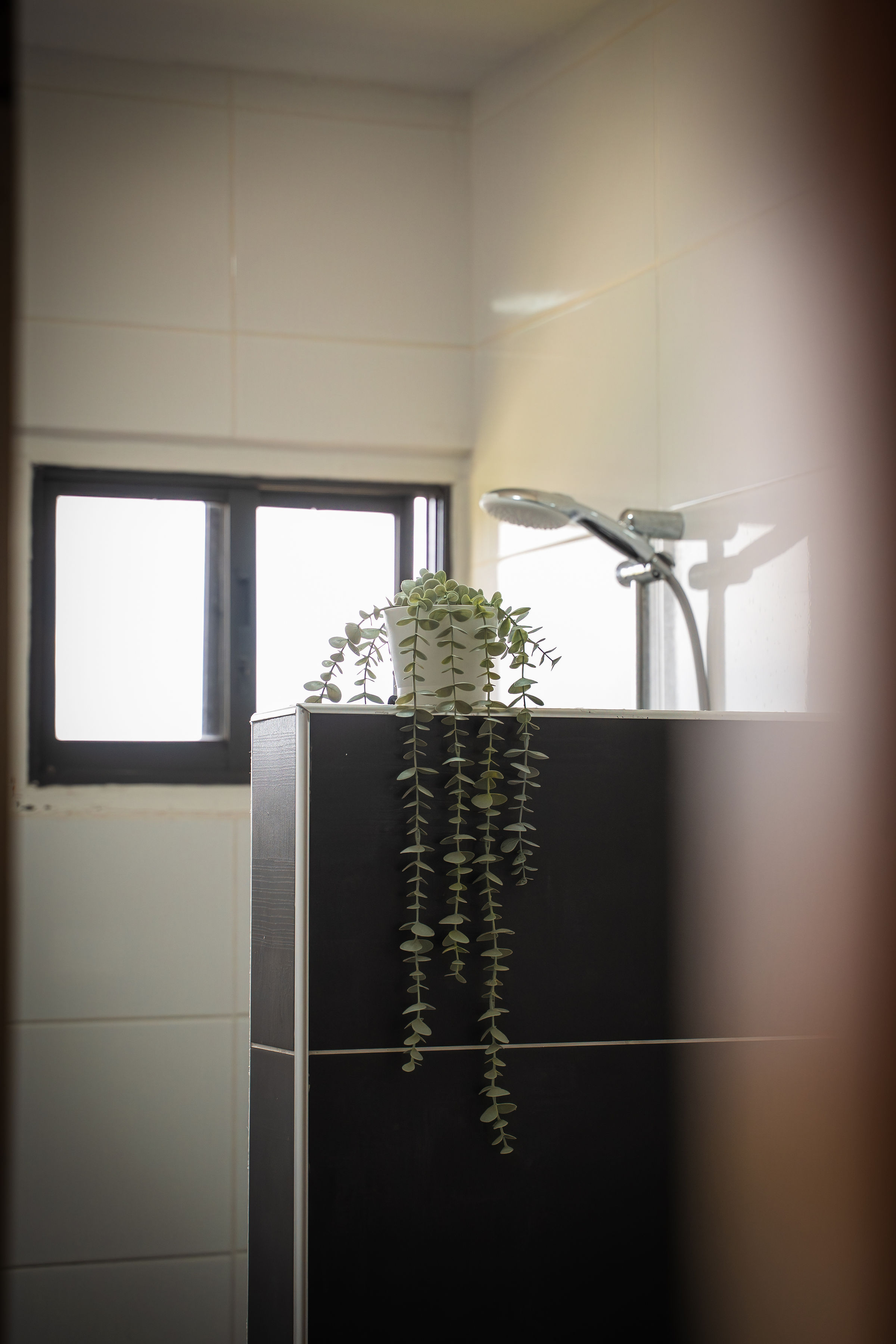 Afbeelding: woning 5